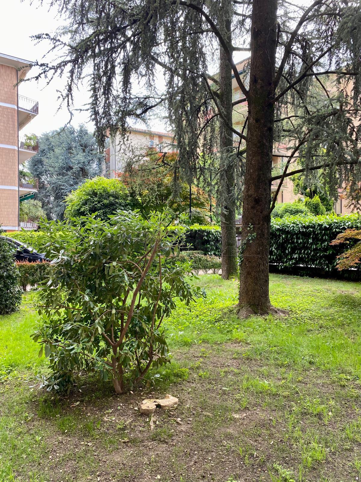 Immagine 27 di Bilocale in affitto  in Via Giovanni da Pedemuro a Vicenza