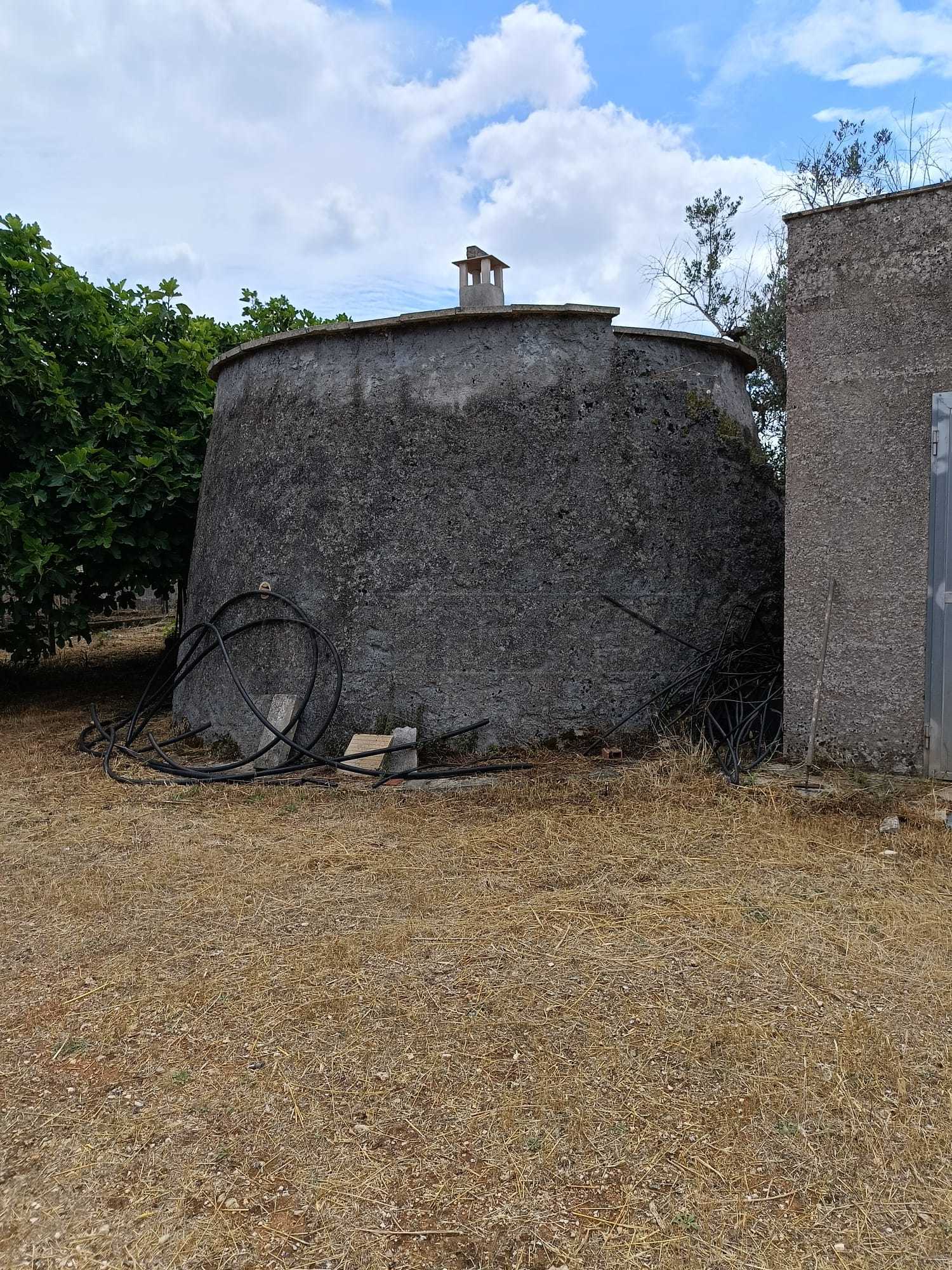 Immagine 11 di Terreno agricolo in vendita  a Corigliano D'otranto
