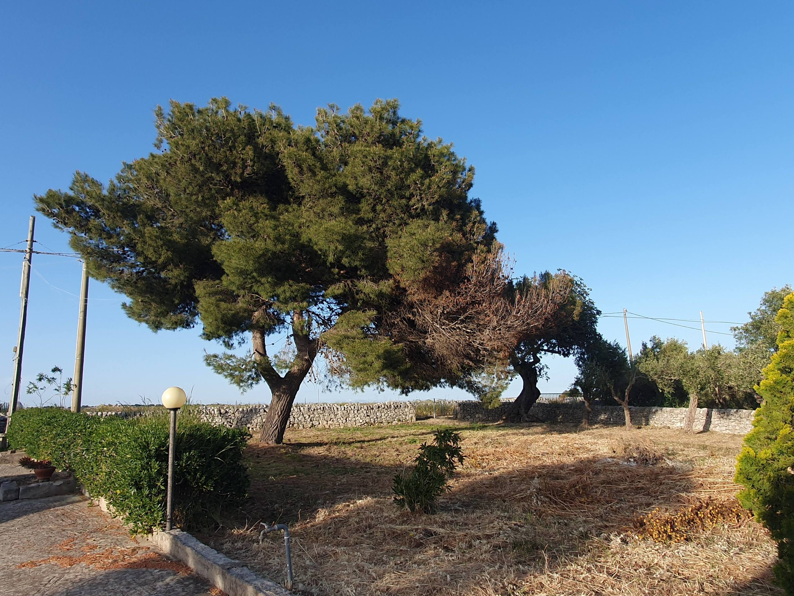 Foto annuncio 4