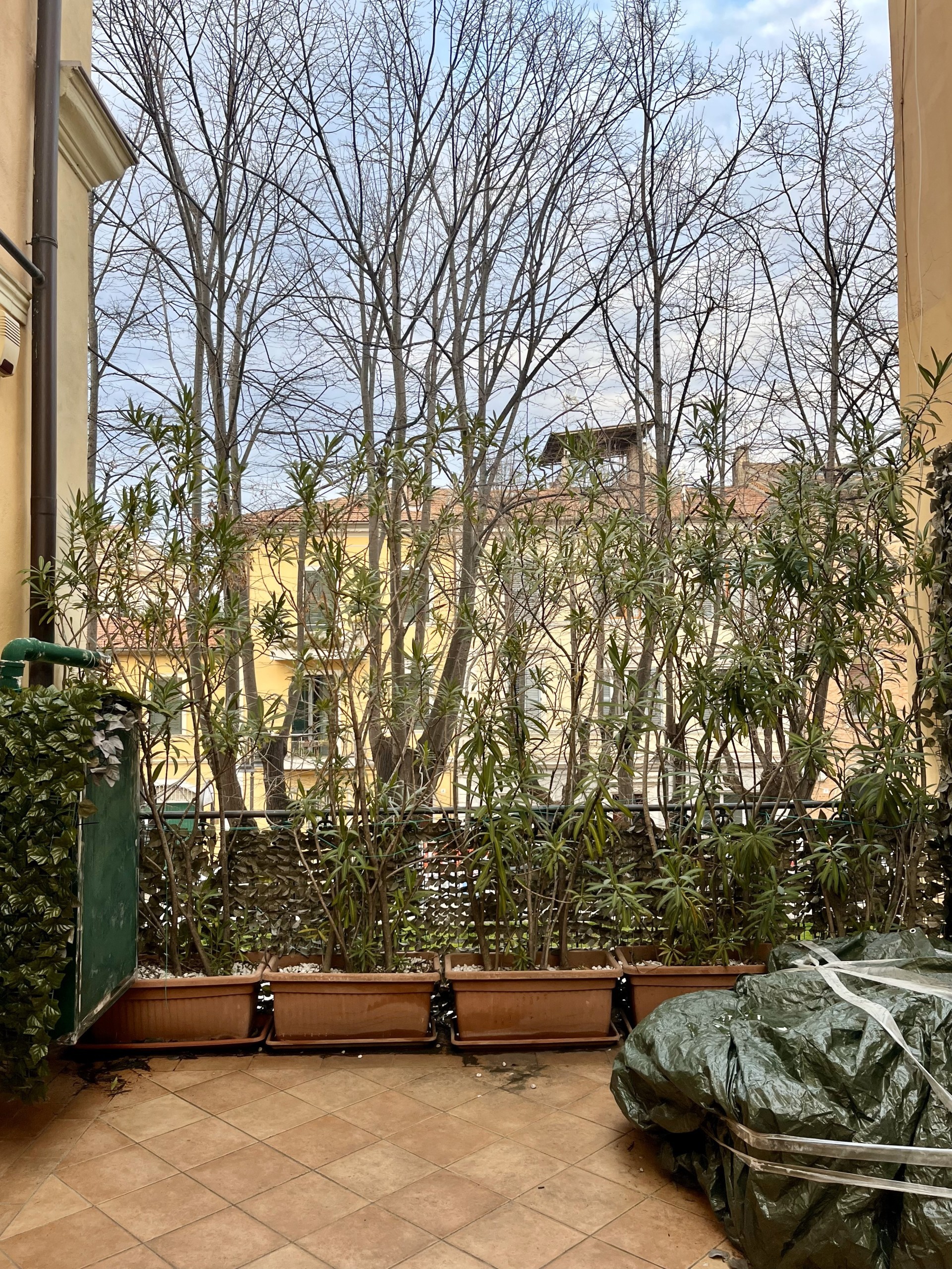 Immagine 19 di Appartamento in vendita  in Viale Trieste a Jesi