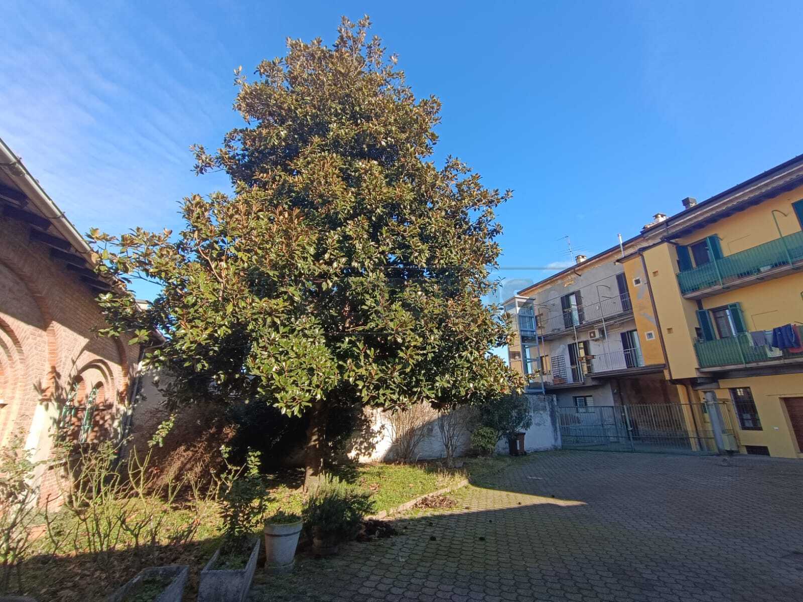 Foto annuncio 30