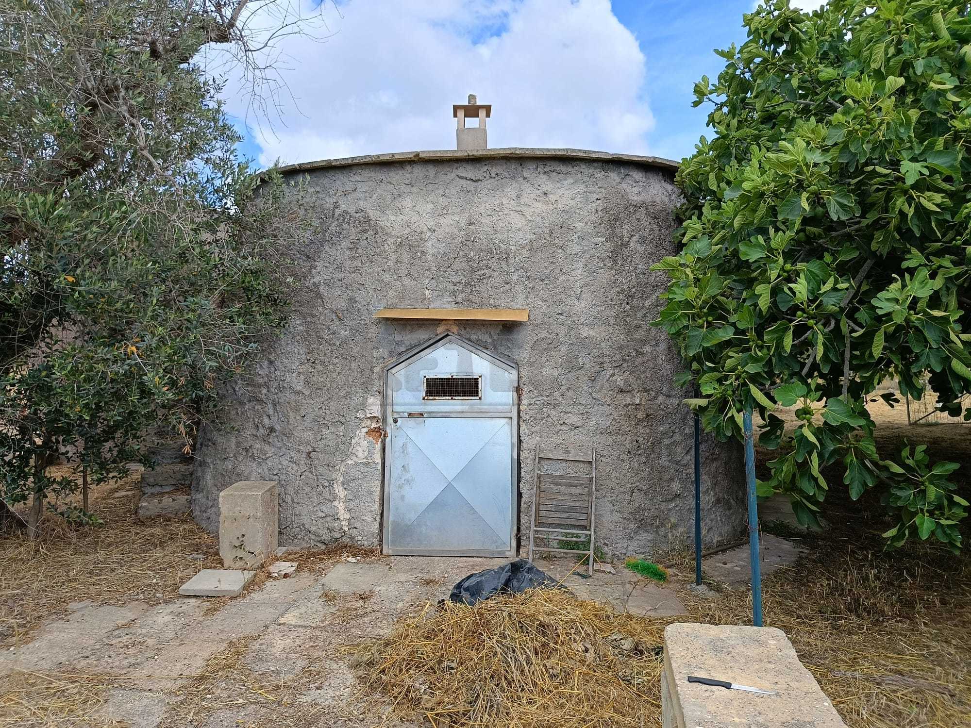 Immagine 9 di Terreno agricolo in vendita  a Corigliano D'otranto