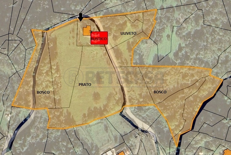 Immagine 14 di Rustico / casale in vendita  in Via San Nicolò 7 a Montorso Vicentino