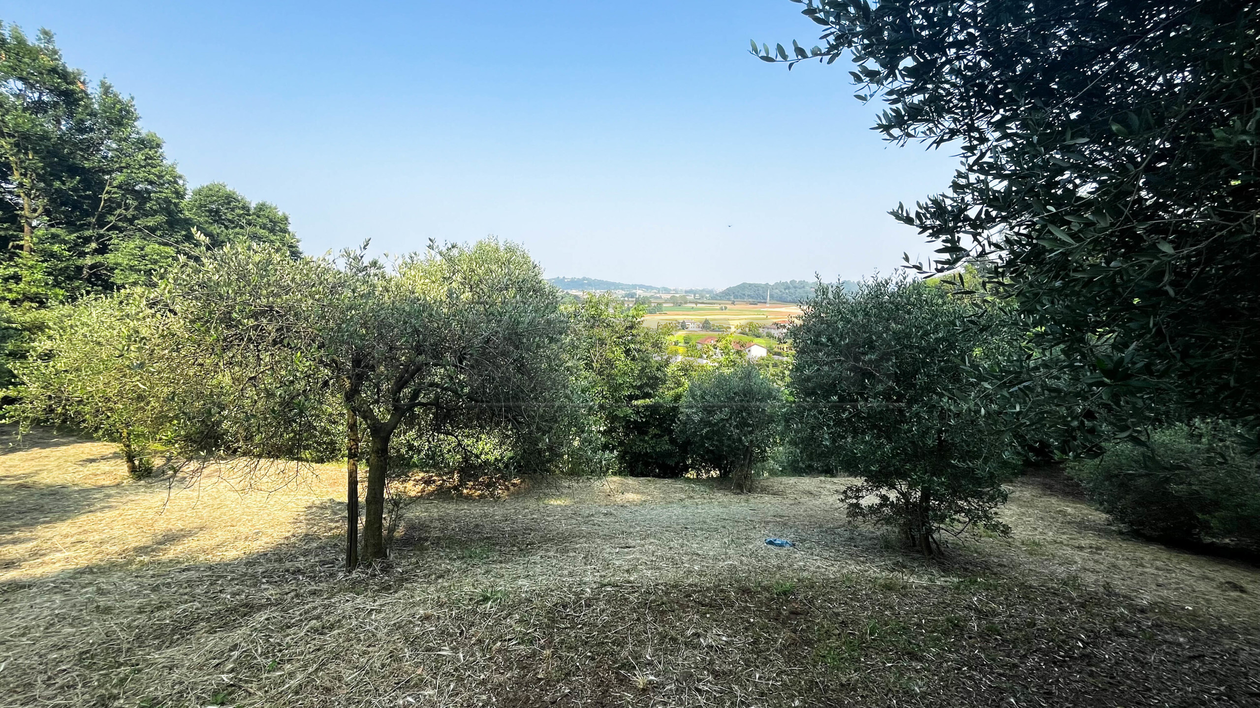 Foto annuncio 32