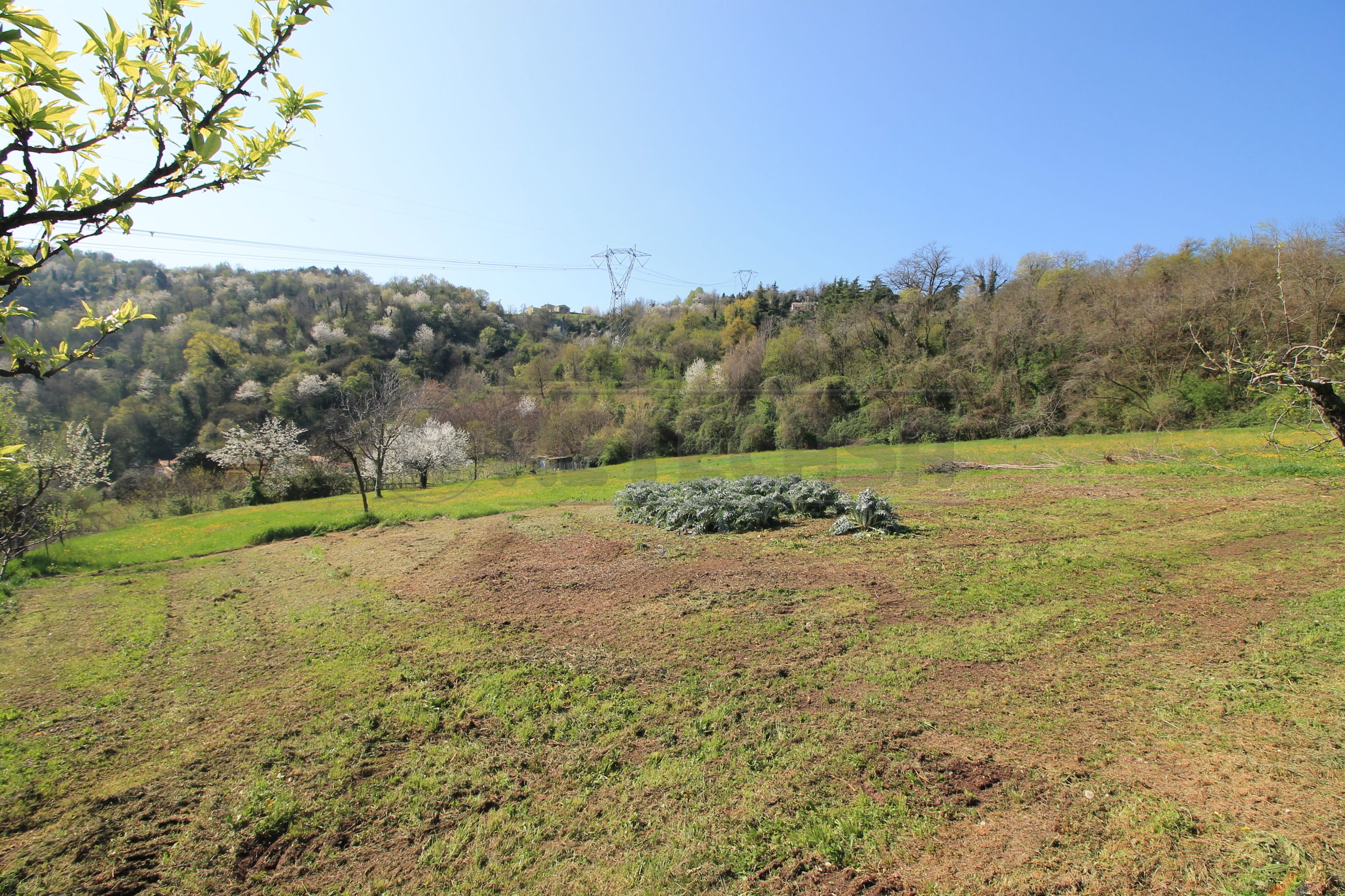 Immagine 9 di Rustico / casale in vendita  in Via San Nicolò 7 a Montorso Vicentino