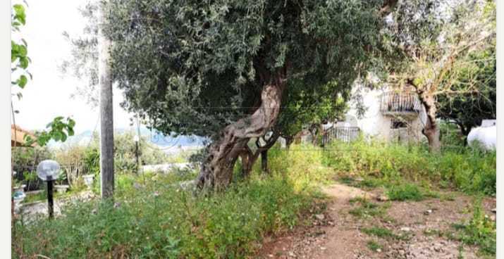 Immagine 21 di Villa in vendita  in Strada Statale 113, Snc a Termini Imerese