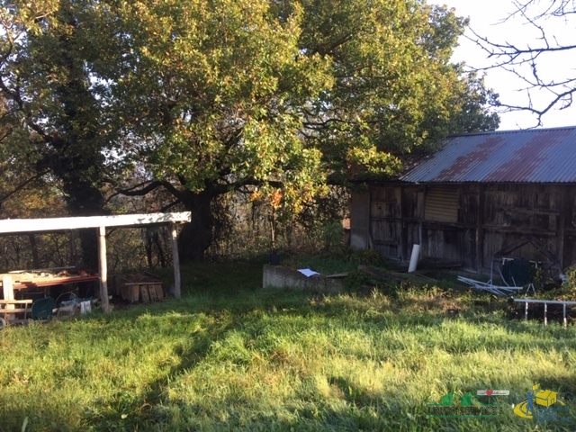 Immagine 3 di Terreno agricolo in vendita  in loc. Bezzo Bellini a Medesano