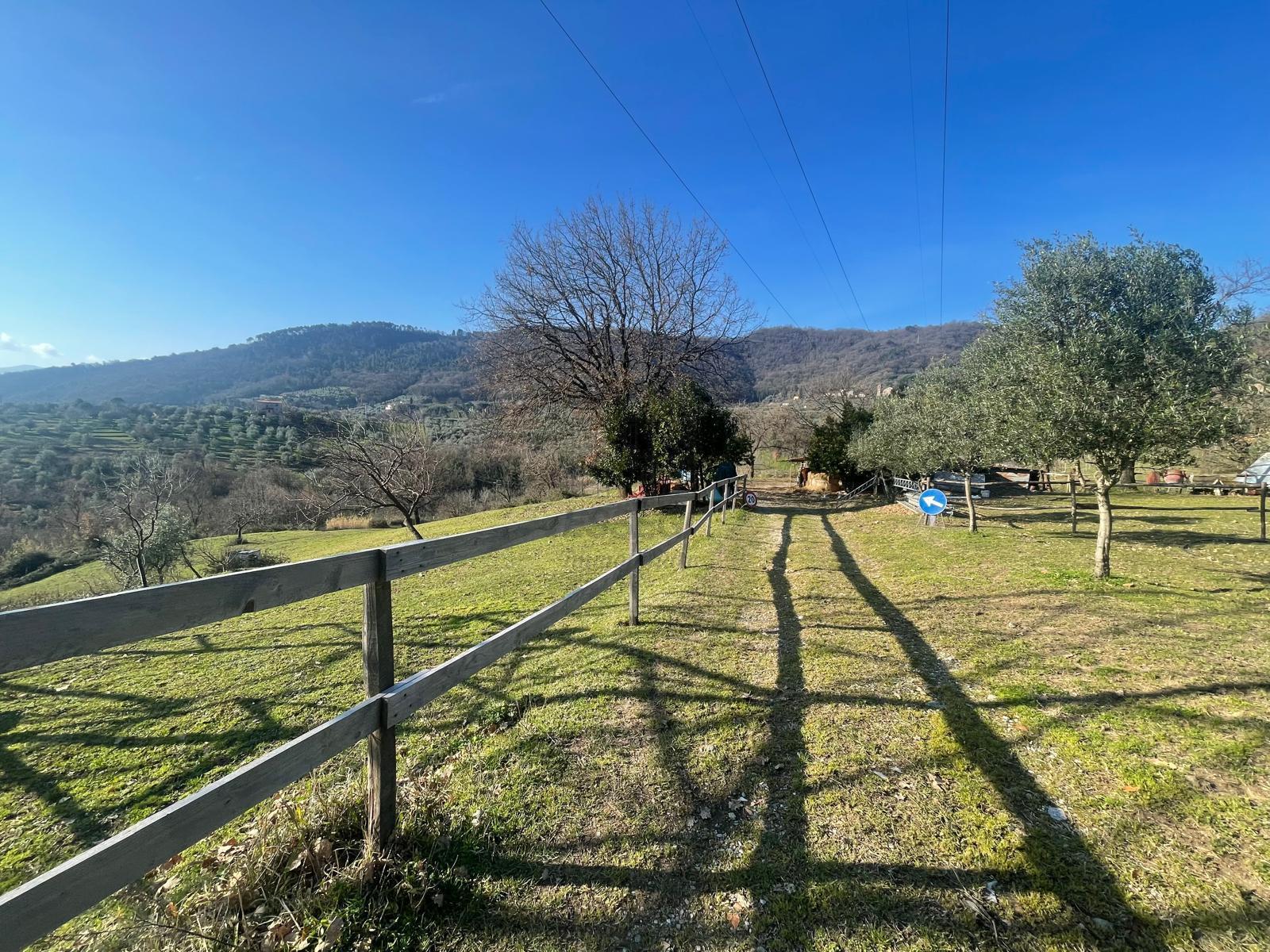 Immagine 10 di Rustico / casale in vendita  in Via dei bertolotti a Lucca