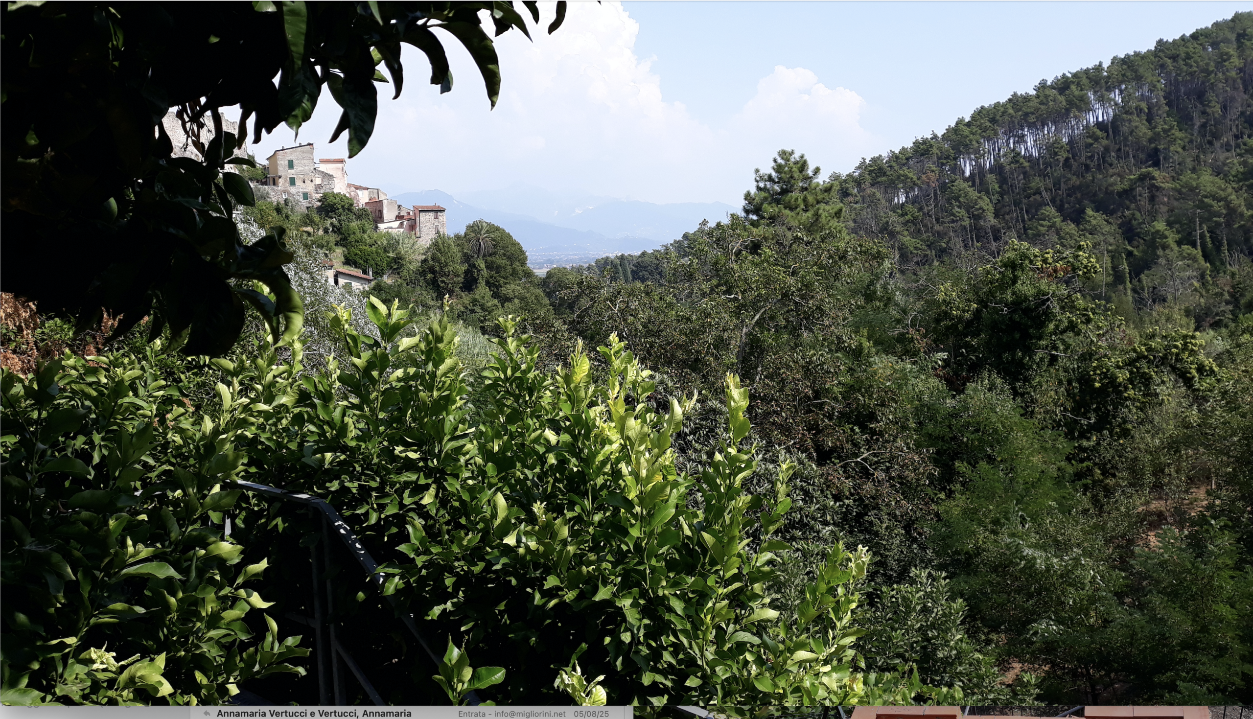 Immagine 14 di Casa indipendente in vendita  a Ameglia