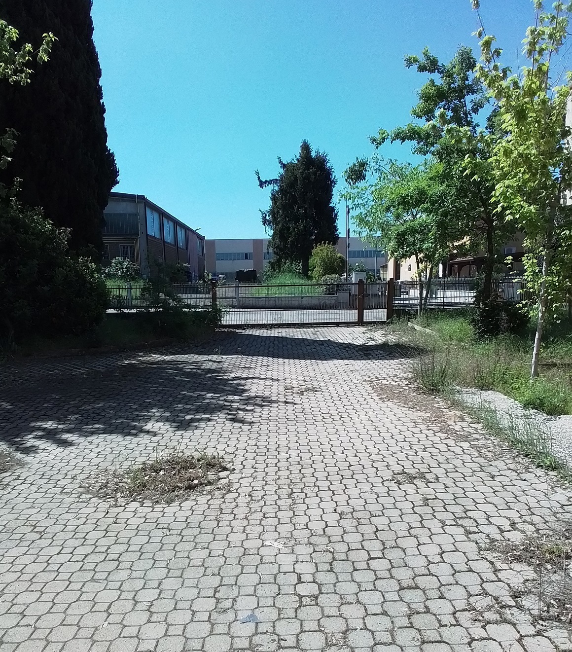 Foto annuncio 4