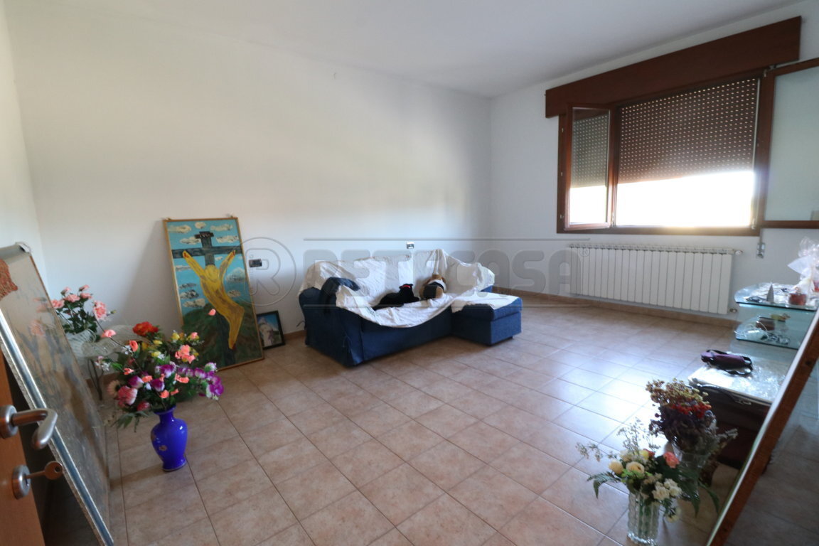 Immagine 11 di Villa in vendita  a Bondeno