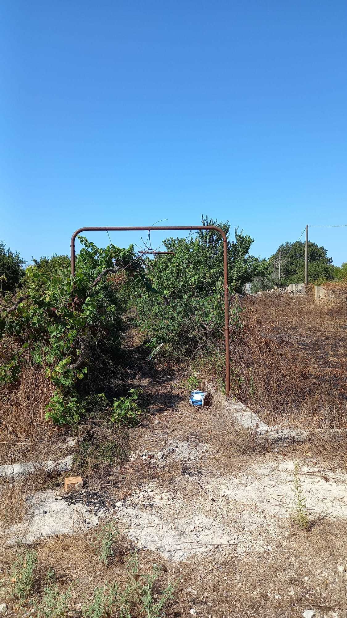 Immagine 1 di Terreno agricolo in vendita  a Maglie