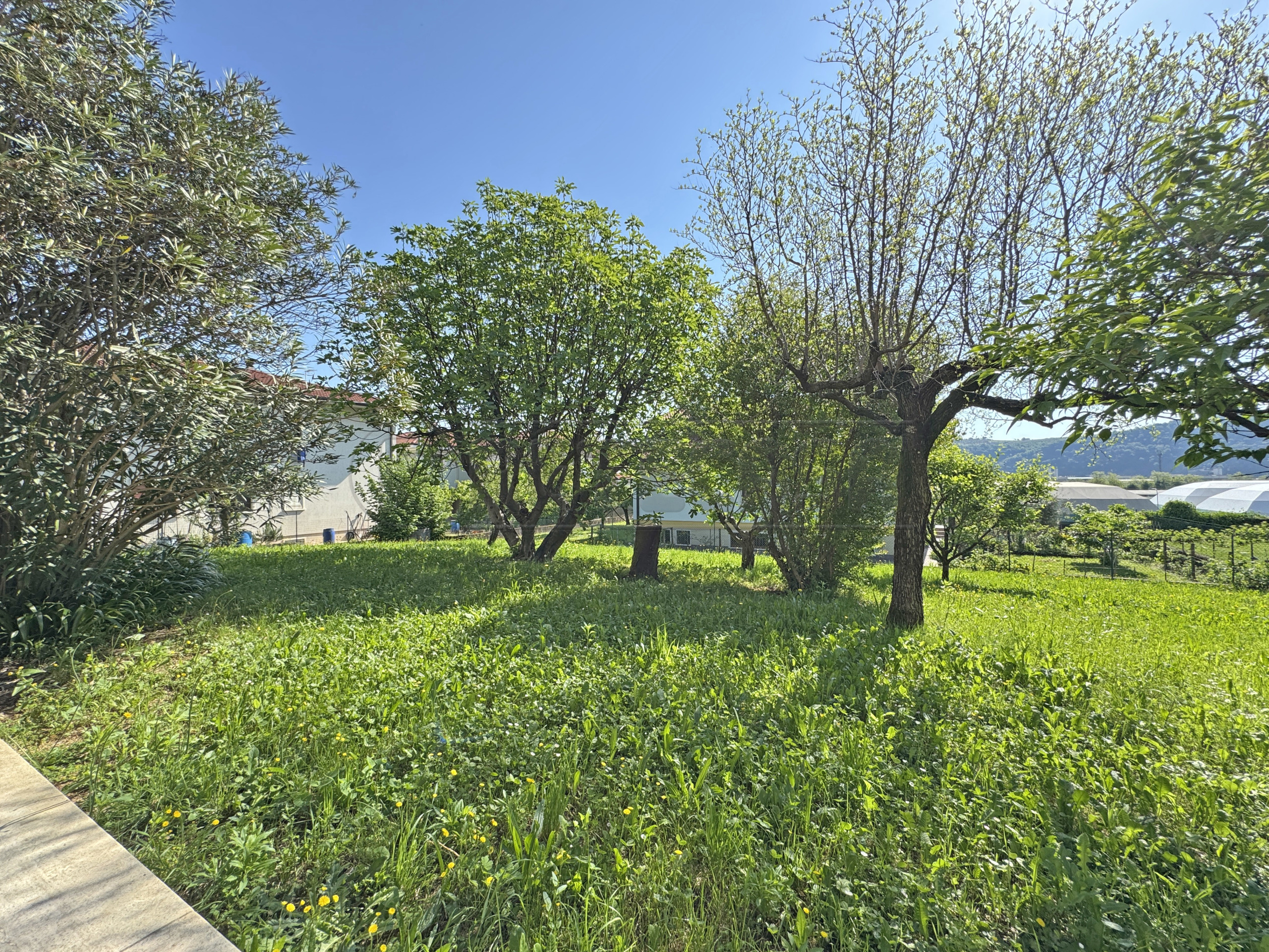 Immagine 3 di Casa indipendente in vendita  in Via San Nazario Sauro 62 a Trissino