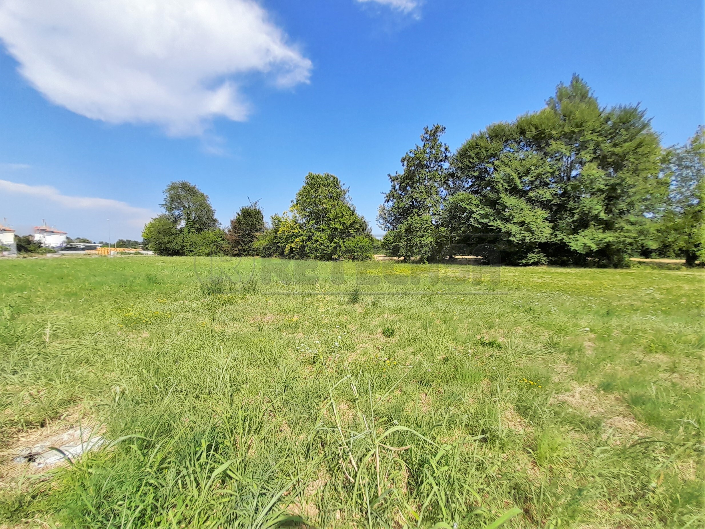 Immagine 9 di Terreno edificabile in vendita  a Castegnero