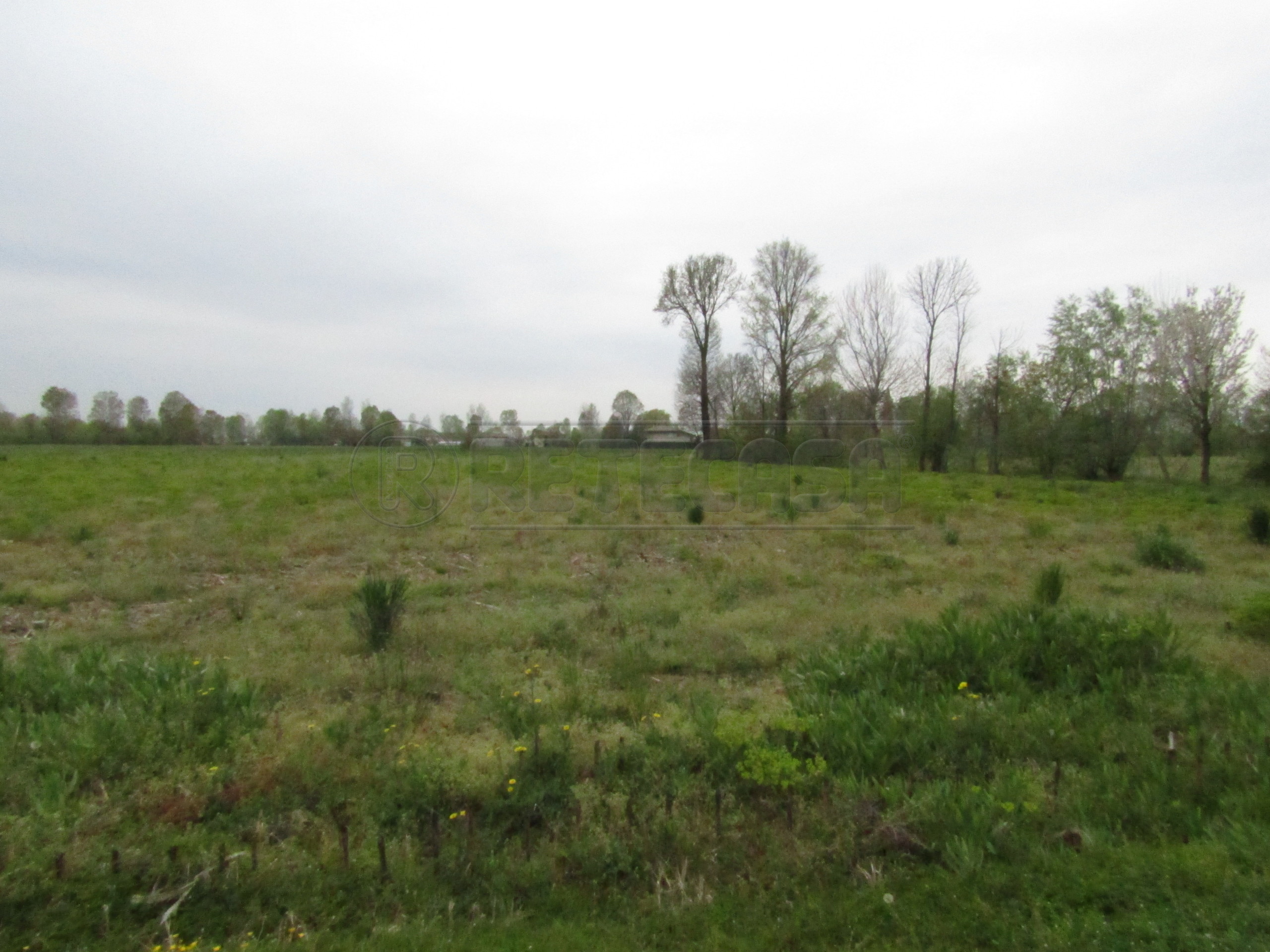 Immagine 1 di Terreno agricolo in vendita  a Santa Giustina In Colle