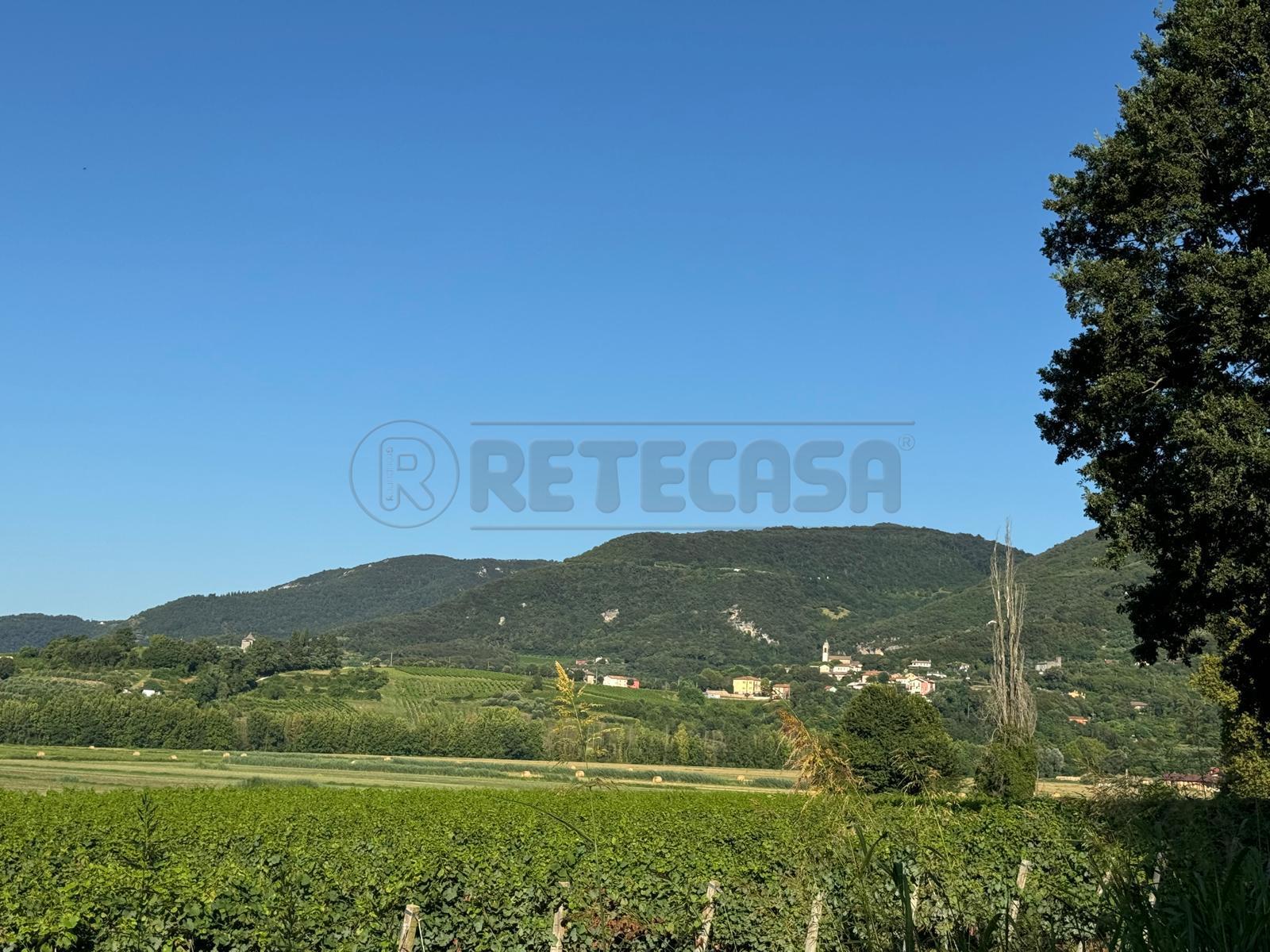 Immagine 9 di Terreno edificabile in vendita  in Via Giuseppe Garibladi a Barbarano Mossano