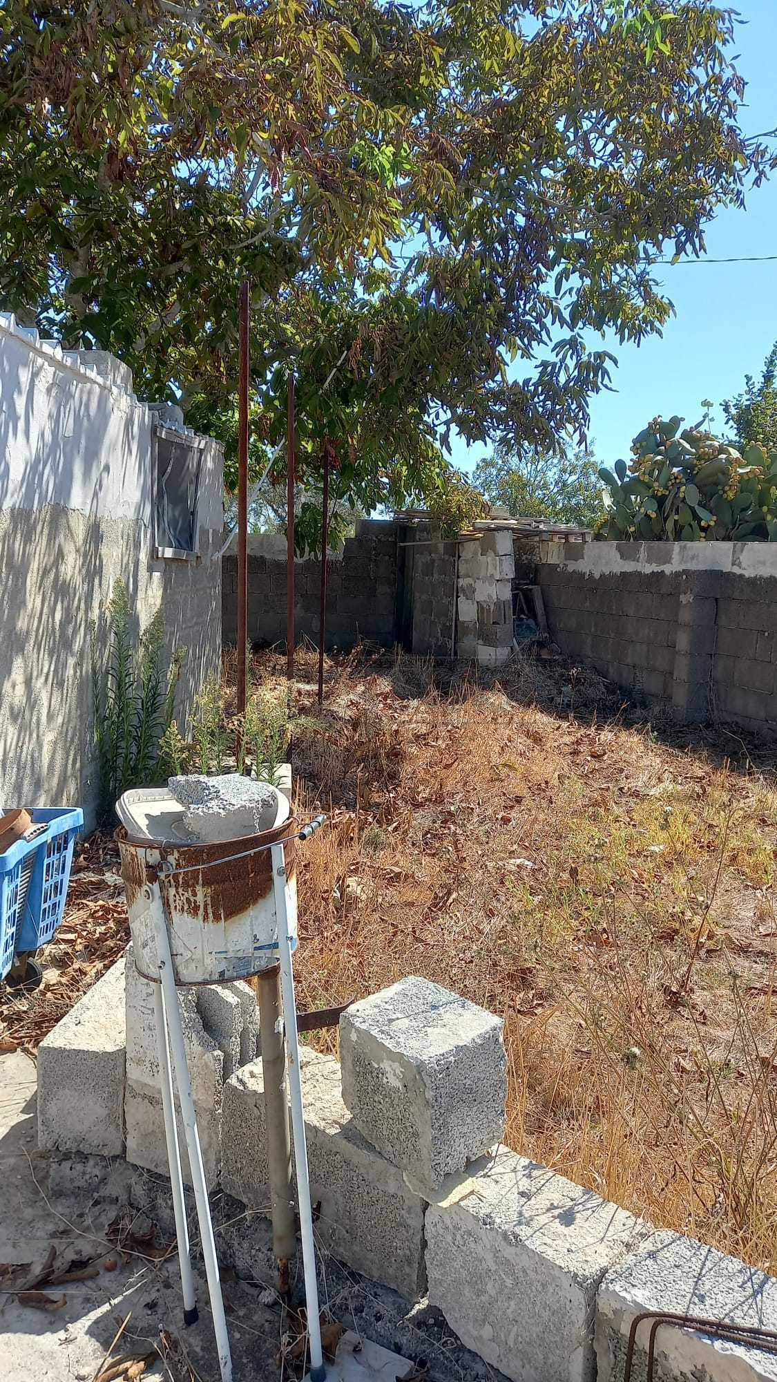 Immagine 10 di Terreno agricolo in vendita  a Maglie