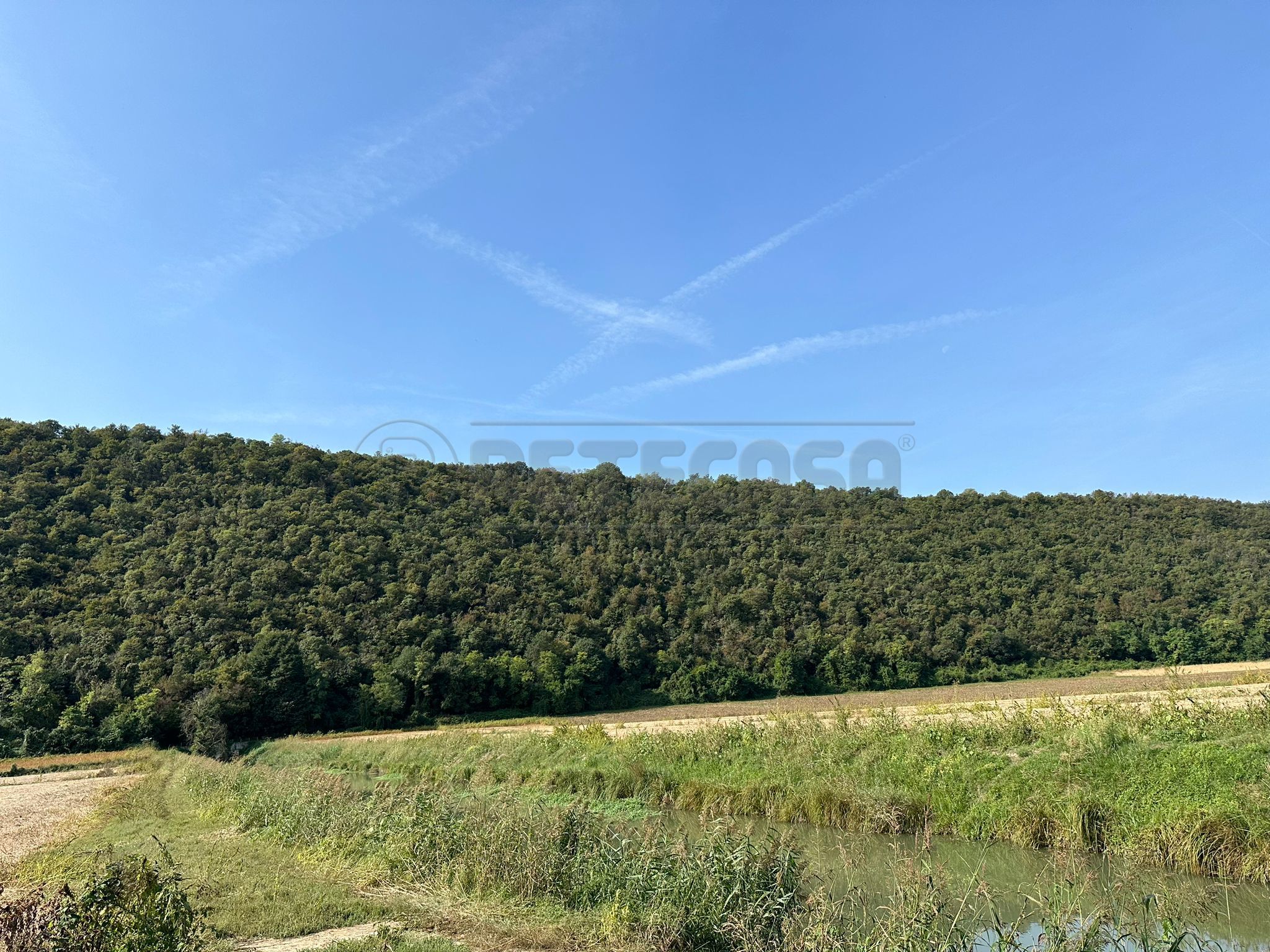 Immagine 10 di Terreno agricolo in vendita  in via san rocco a Arcugnano