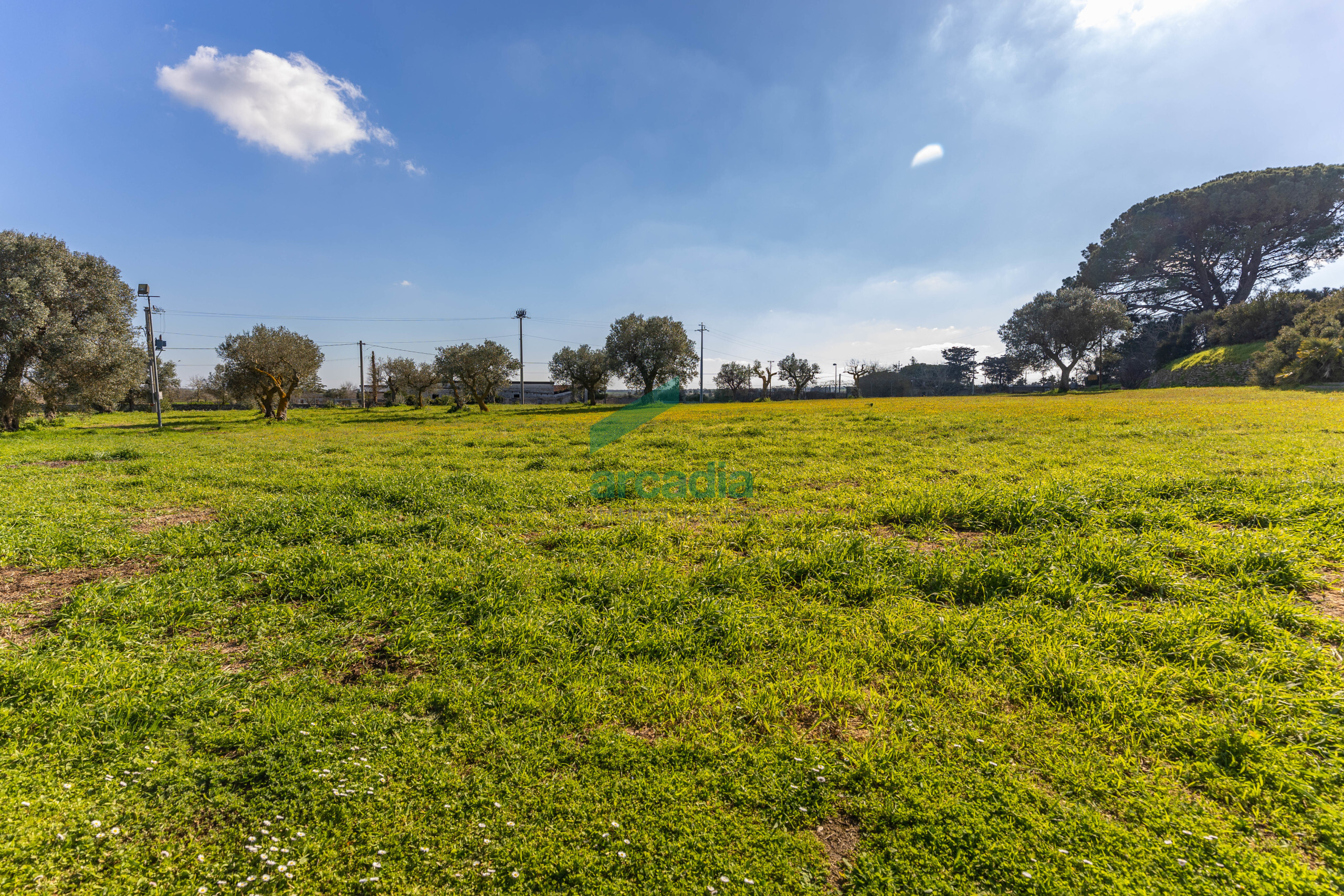 Foto annuncio 50