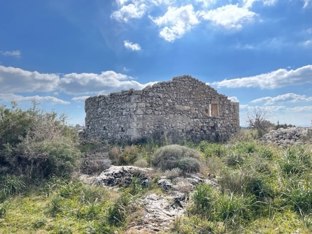 Foto annuncio 10