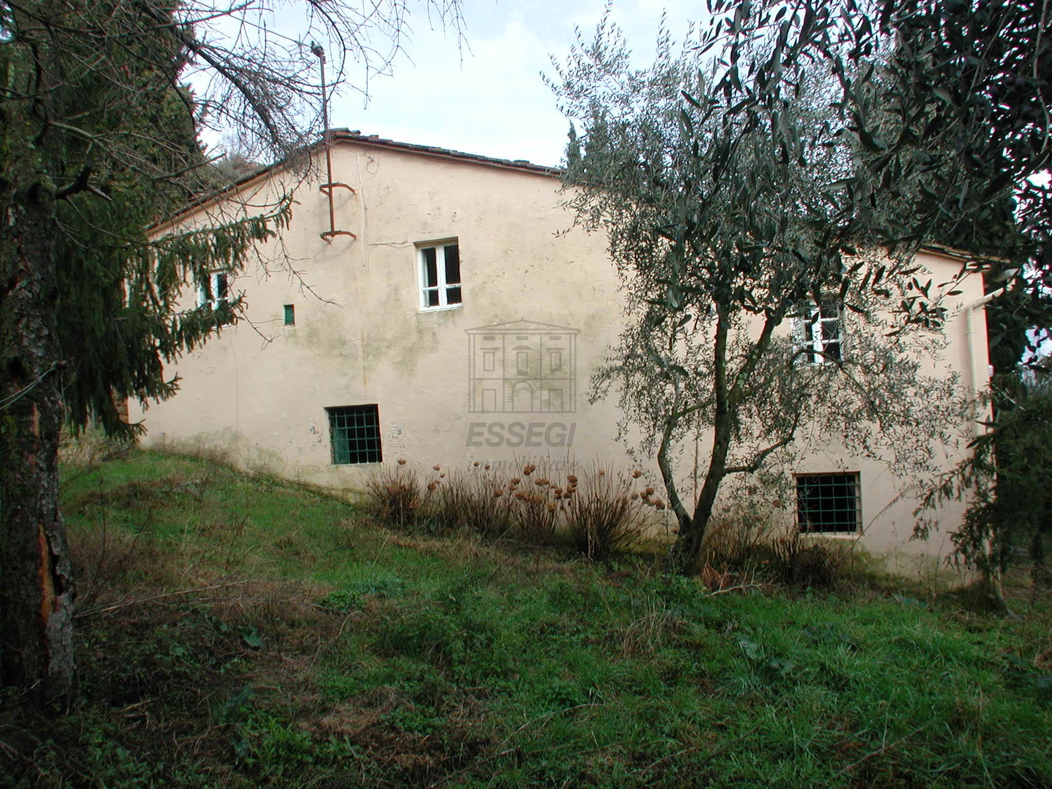 Foto annuncio 8