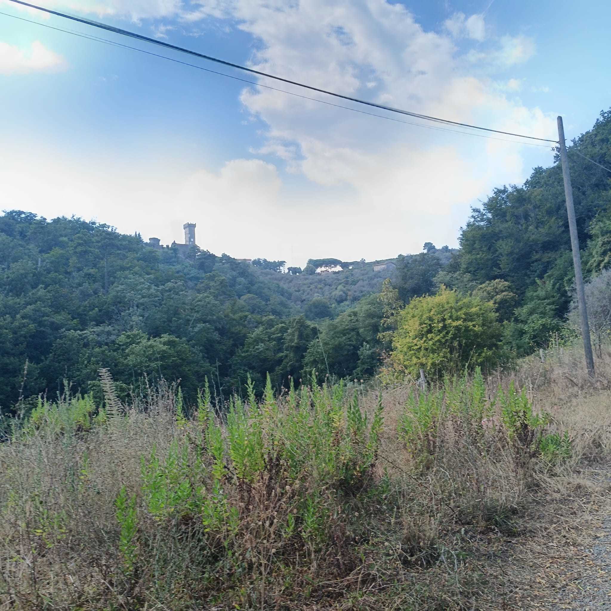 Immagine 4 di Rustico / casale in vendita  a Castelnuovo Magra