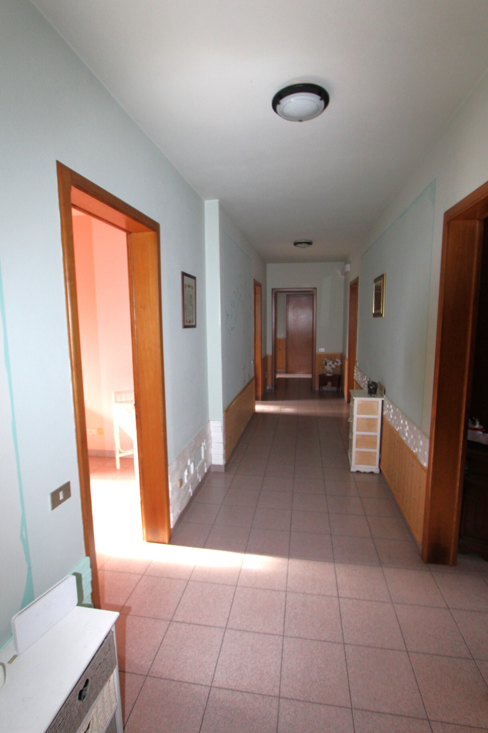Foto annuncio 56