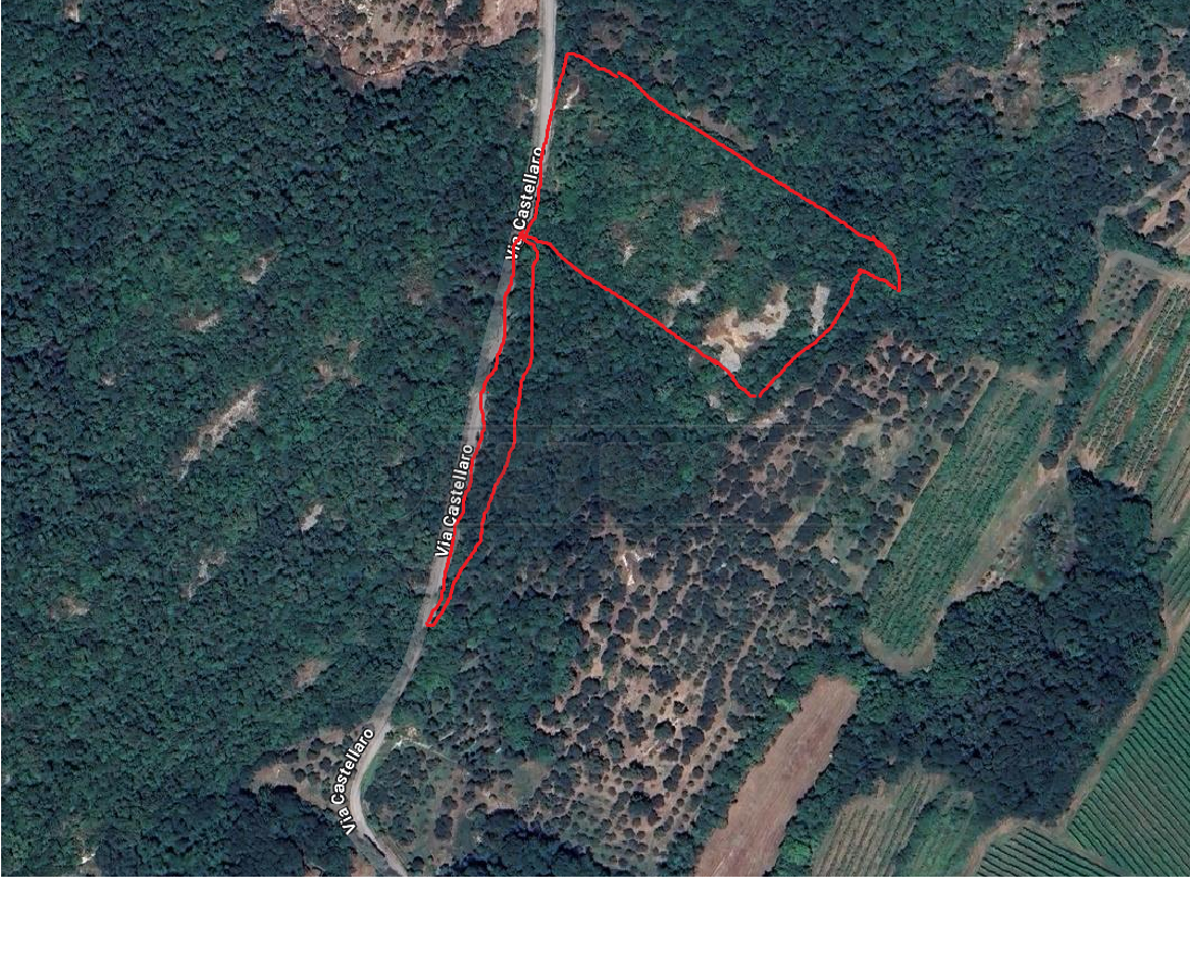 Immagine 22 di Terreno agricolo in vendita  in Via Castellaro a Castegnero