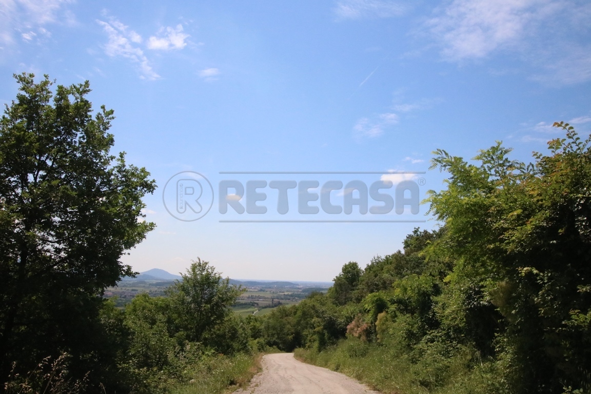 Immagine 20 di Terreno agricolo in vendita  in Via Castellaro a Castegnero