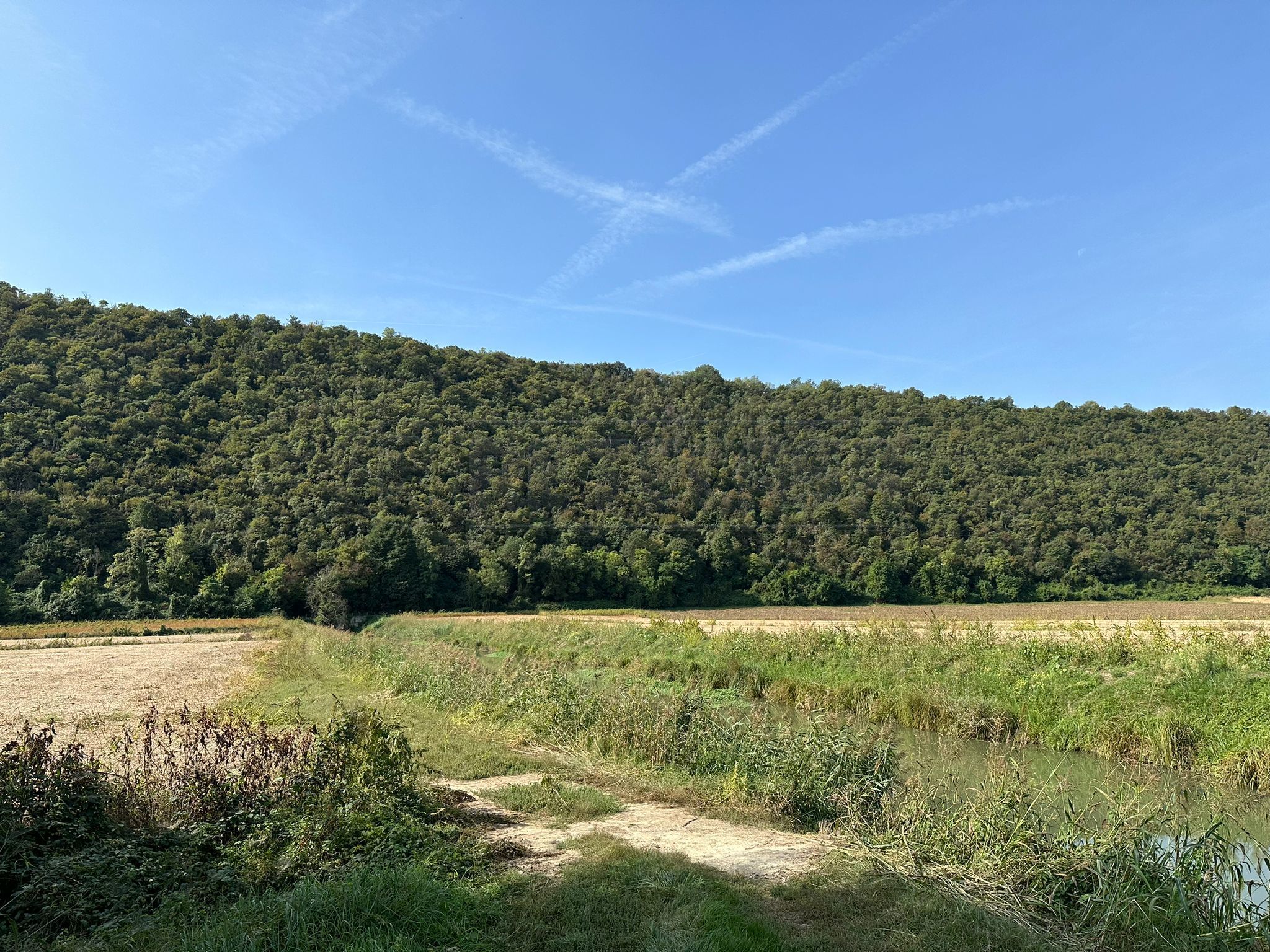 Immagine 6 di Terreno agricolo in vendita  in via san rocco a Arcugnano