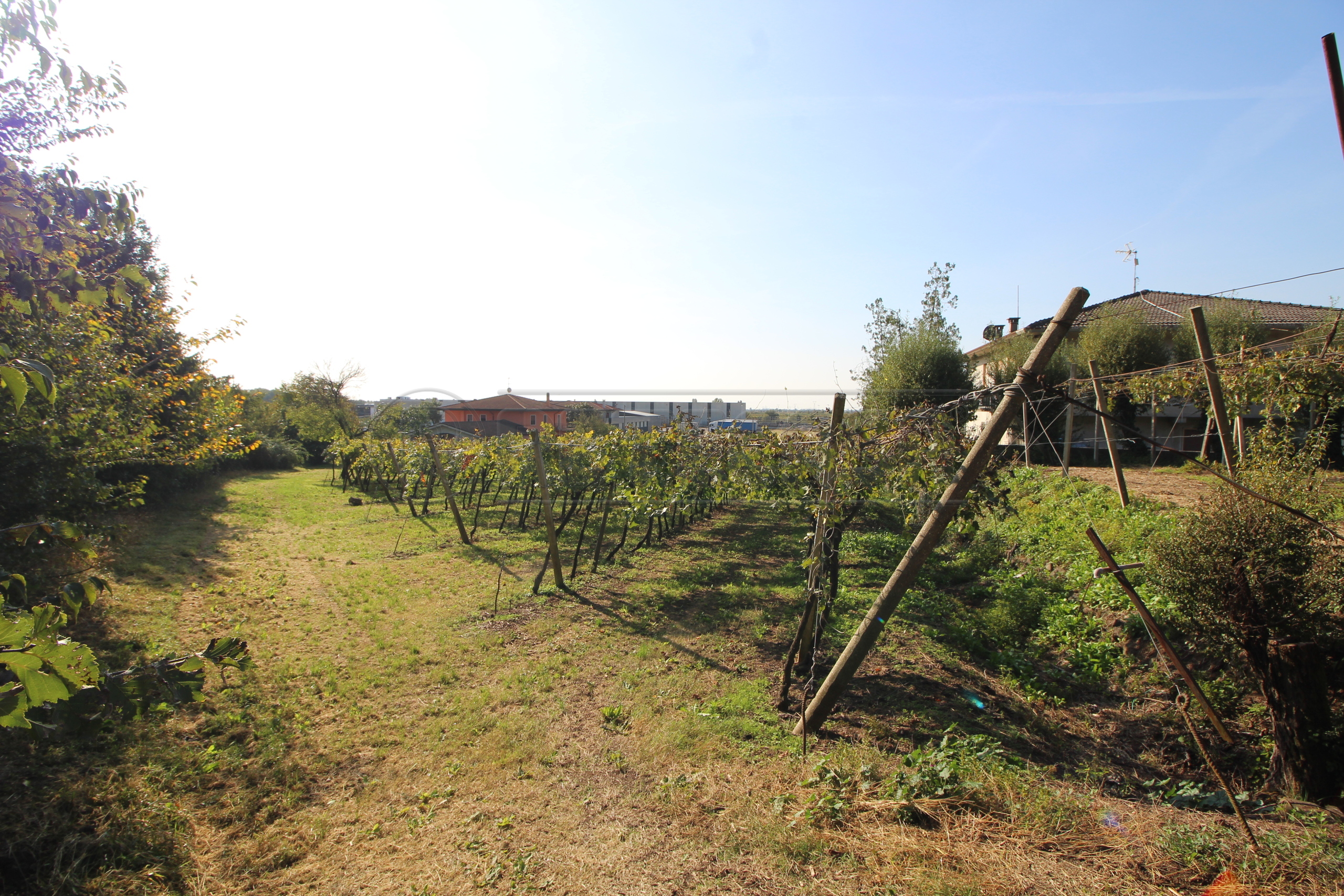 Immagine 5 di Terreno edificabile in vendita  in Via Calderina 8 a Gambellara