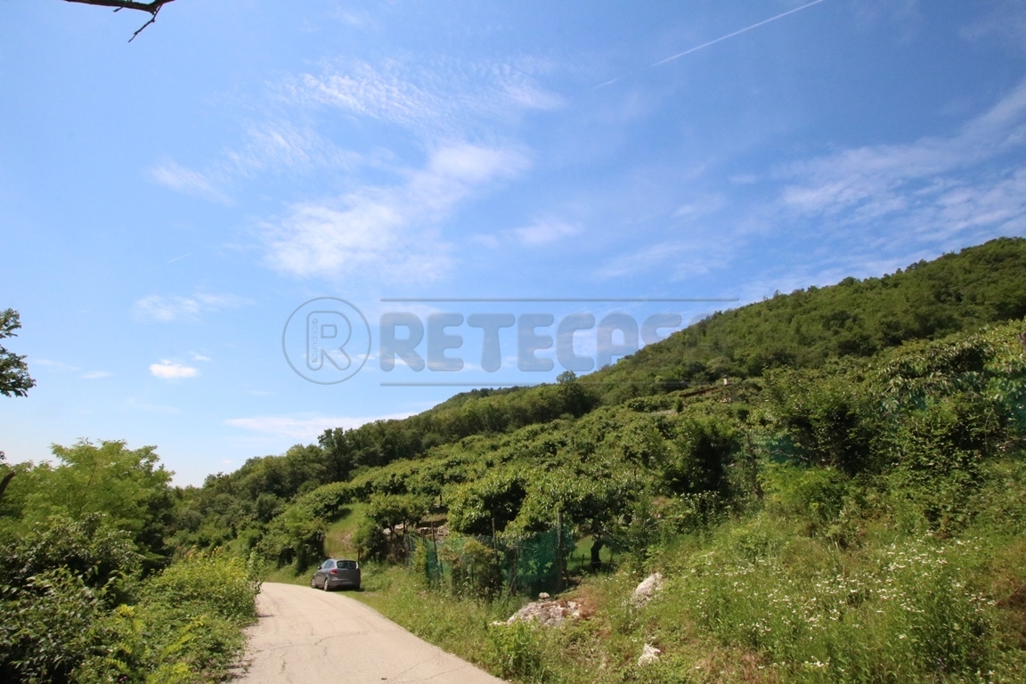 Immagine 16 di Terreno agricolo in vendita  in Via Castellaro a Castegnero