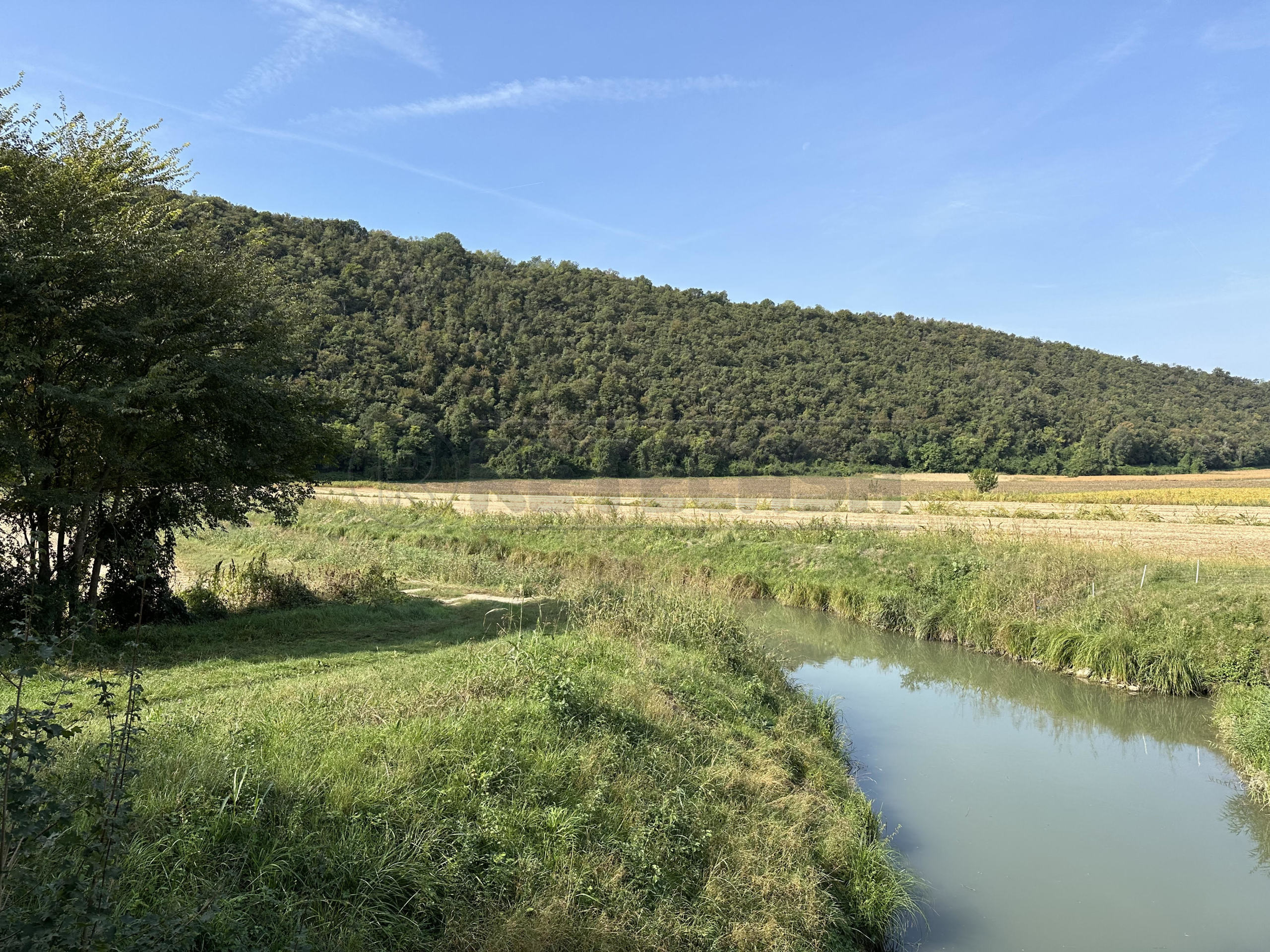 Immagine 2 di Terreno agricolo in vendita  in via san rocco a Arcugnano