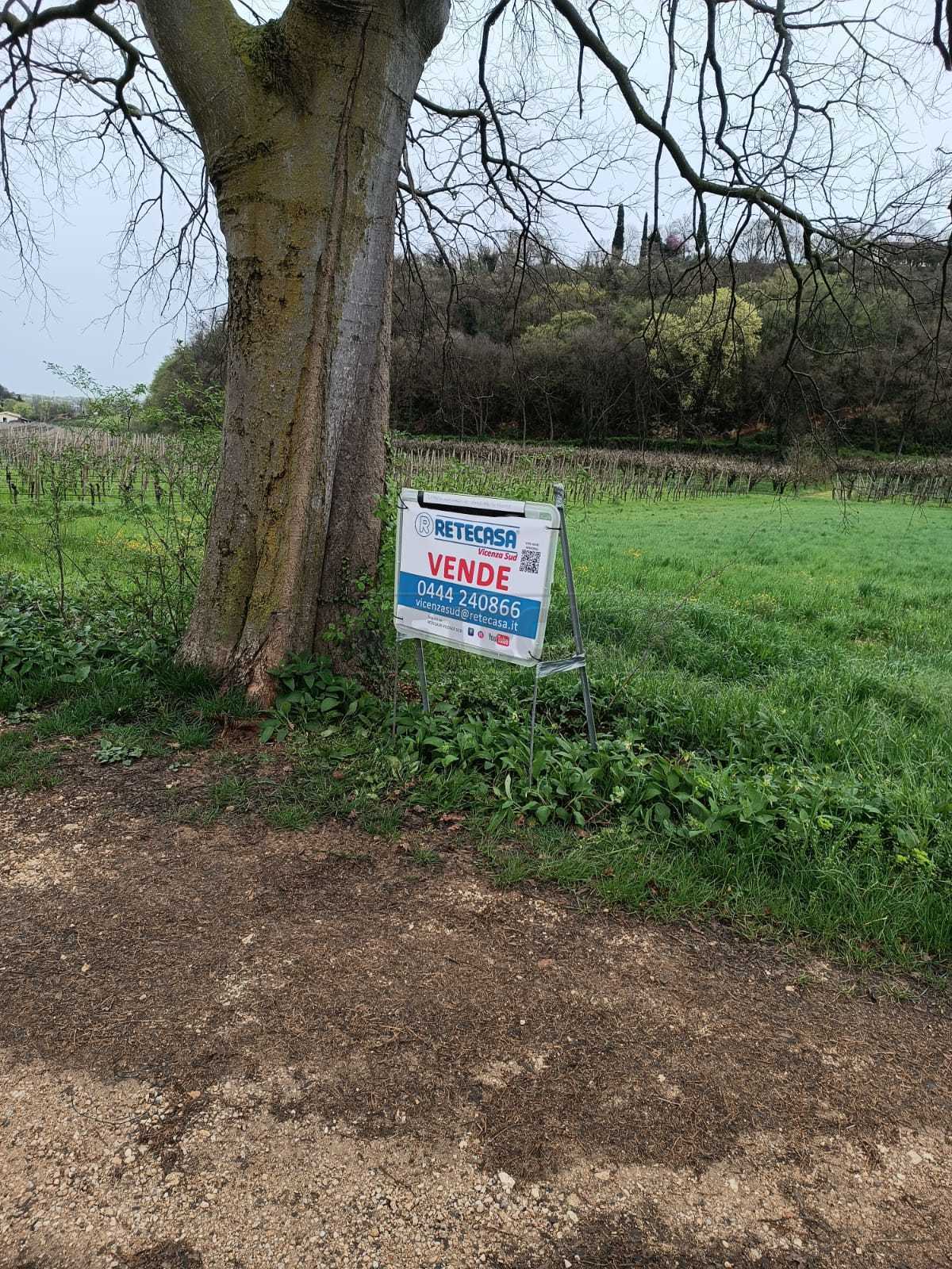 Immagine 4 di Terreno agricolo in vendita  a Castegnero