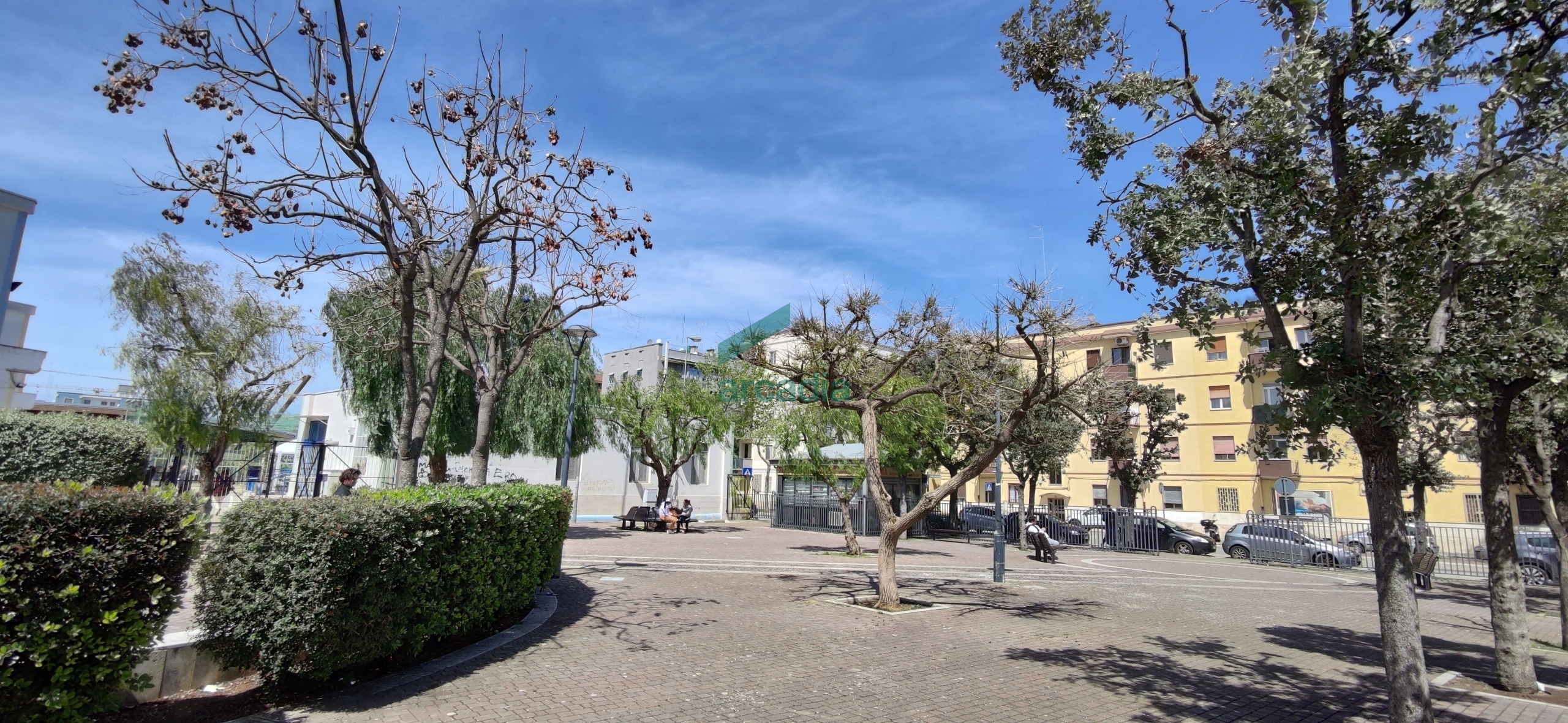 Foto annuncio 19