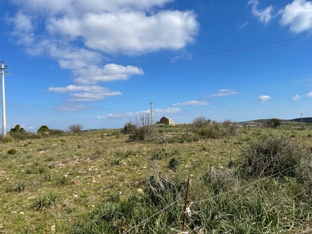 Foto annuncio 4
