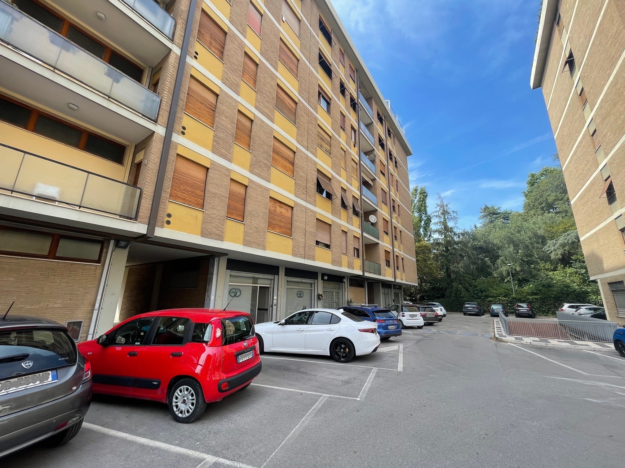 Foto annuncio 5