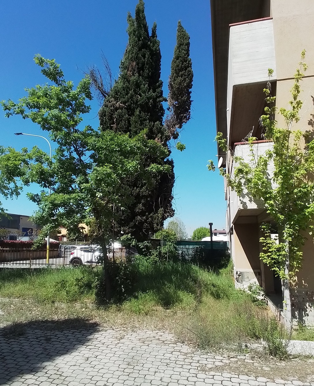 Foto annuncio 43