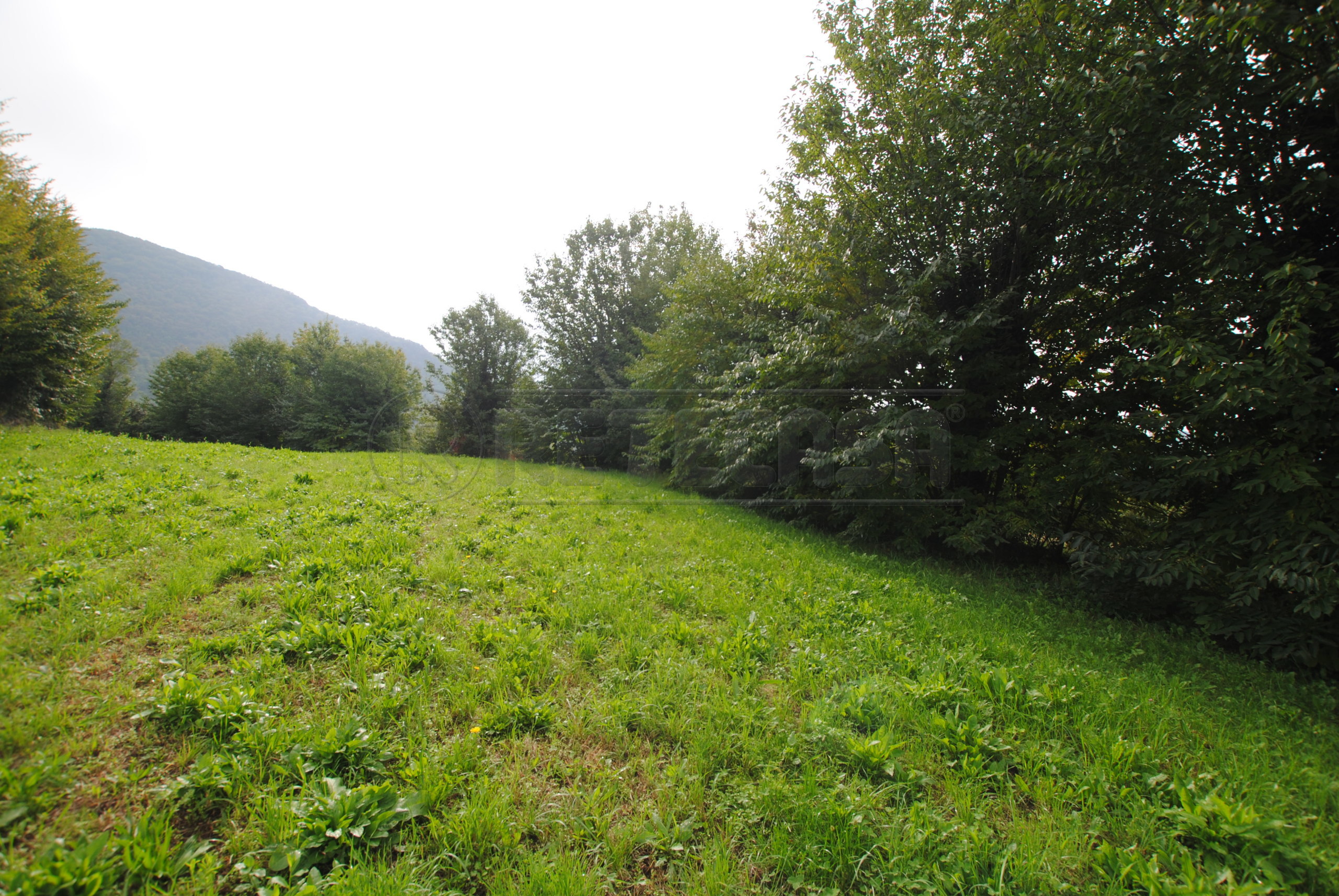Immagine 8 di Terreno edificabile in vendita  in Via Tovi a Cornedo Vicentino