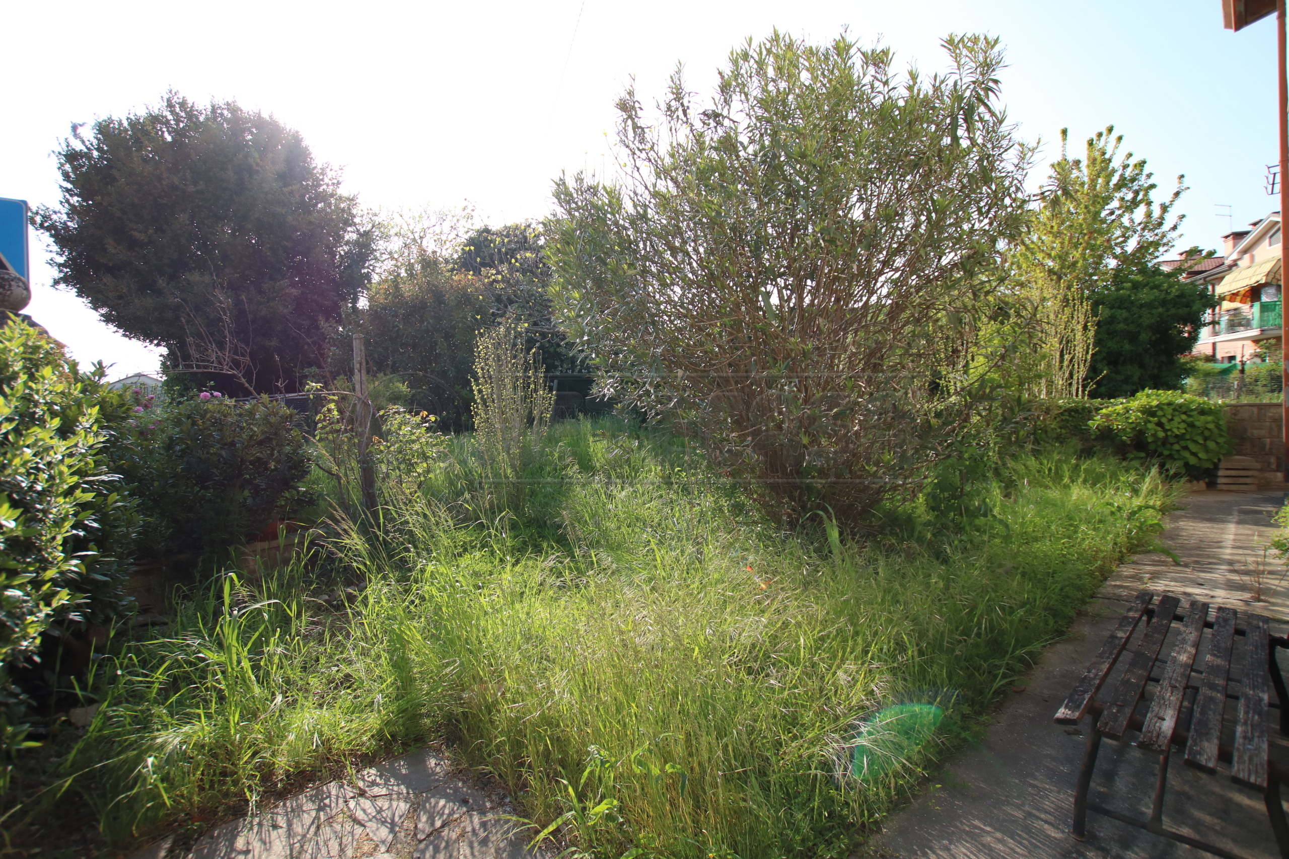 Immagine 36 di Casa bifamiliare in vendita  a Montegalda