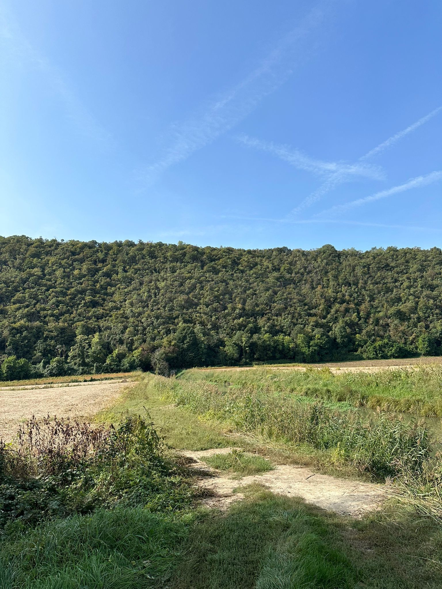 Immagine 7 di Terreno agricolo in vendita  in via san rocco a Arcugnano