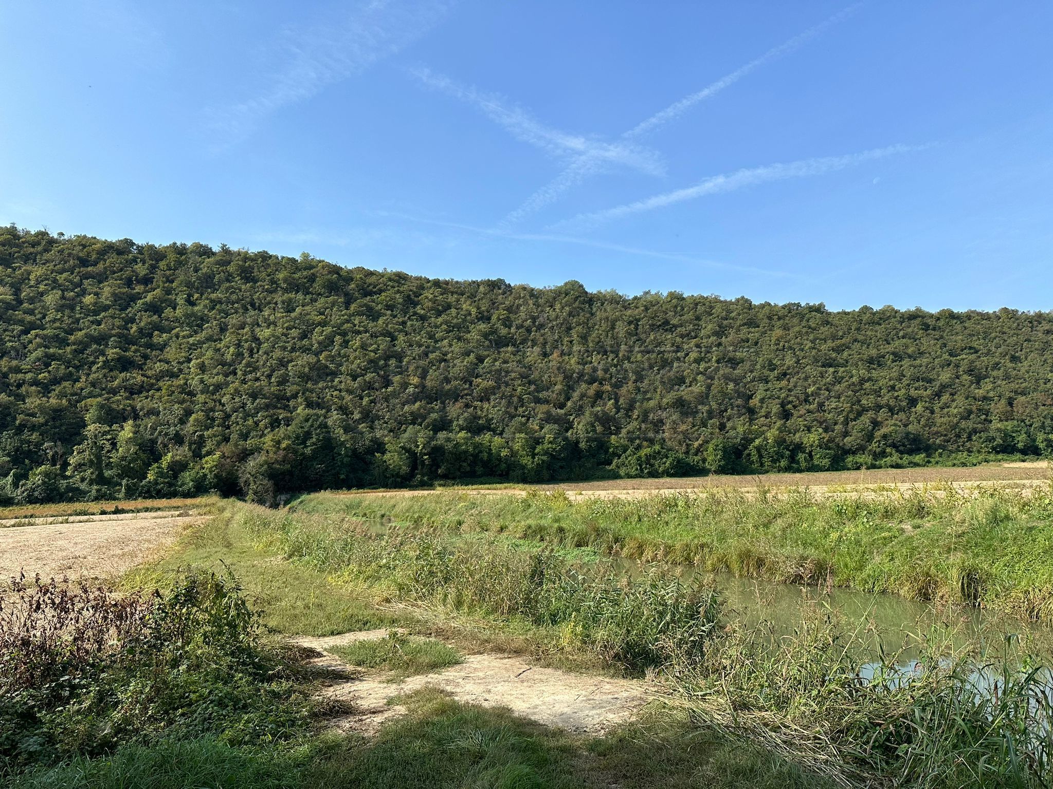 Immagine 3 di Terreno agricolo in vendita  in via san rocco a Arcugnano