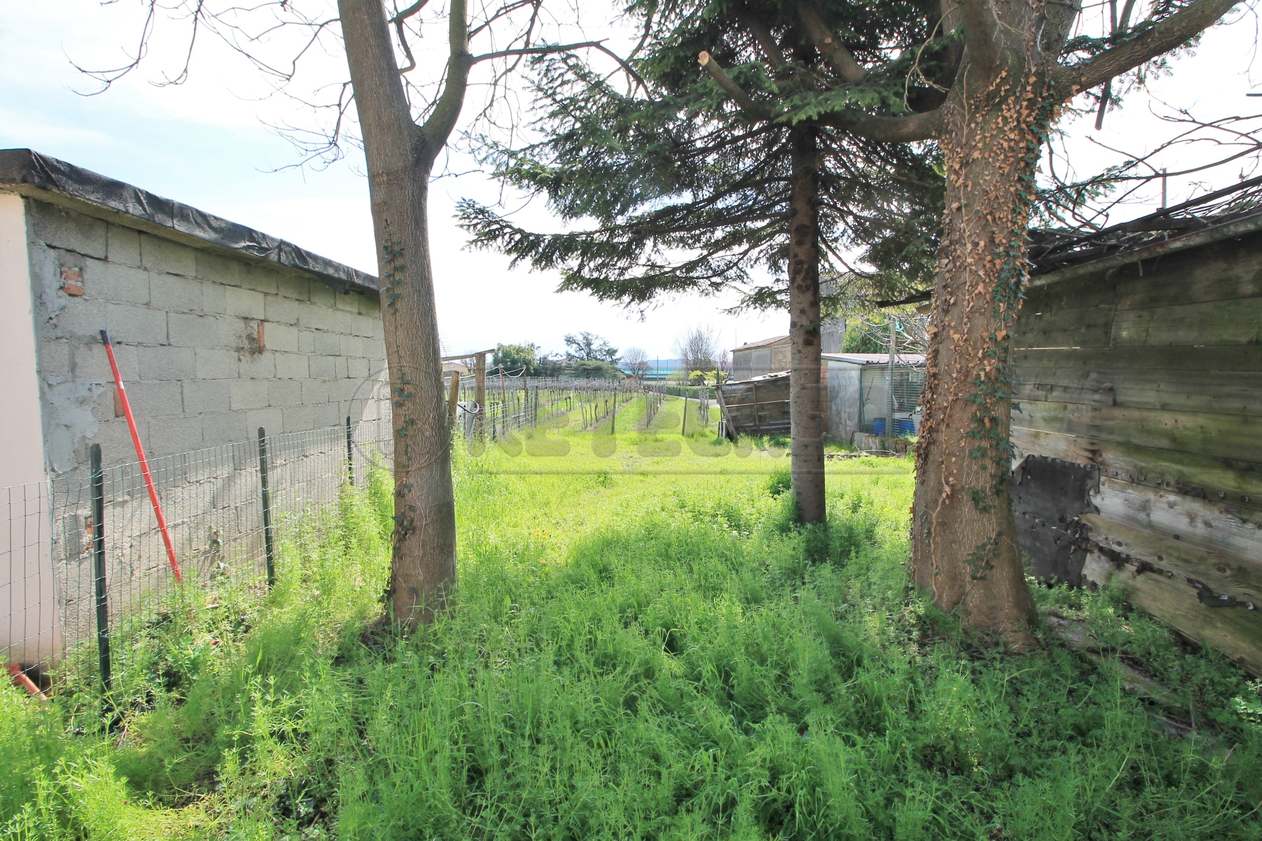 Immagine 5 di Rustico / casale in vendita  in Via Borgo 118 a Montebello Vicentino