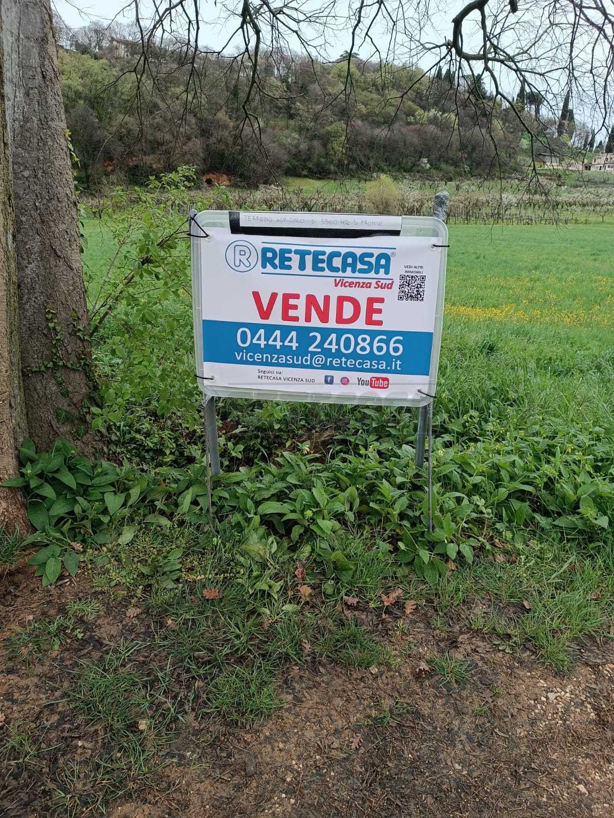 Immagine 5 di Terreno agricolo in vendita  a Castegnero