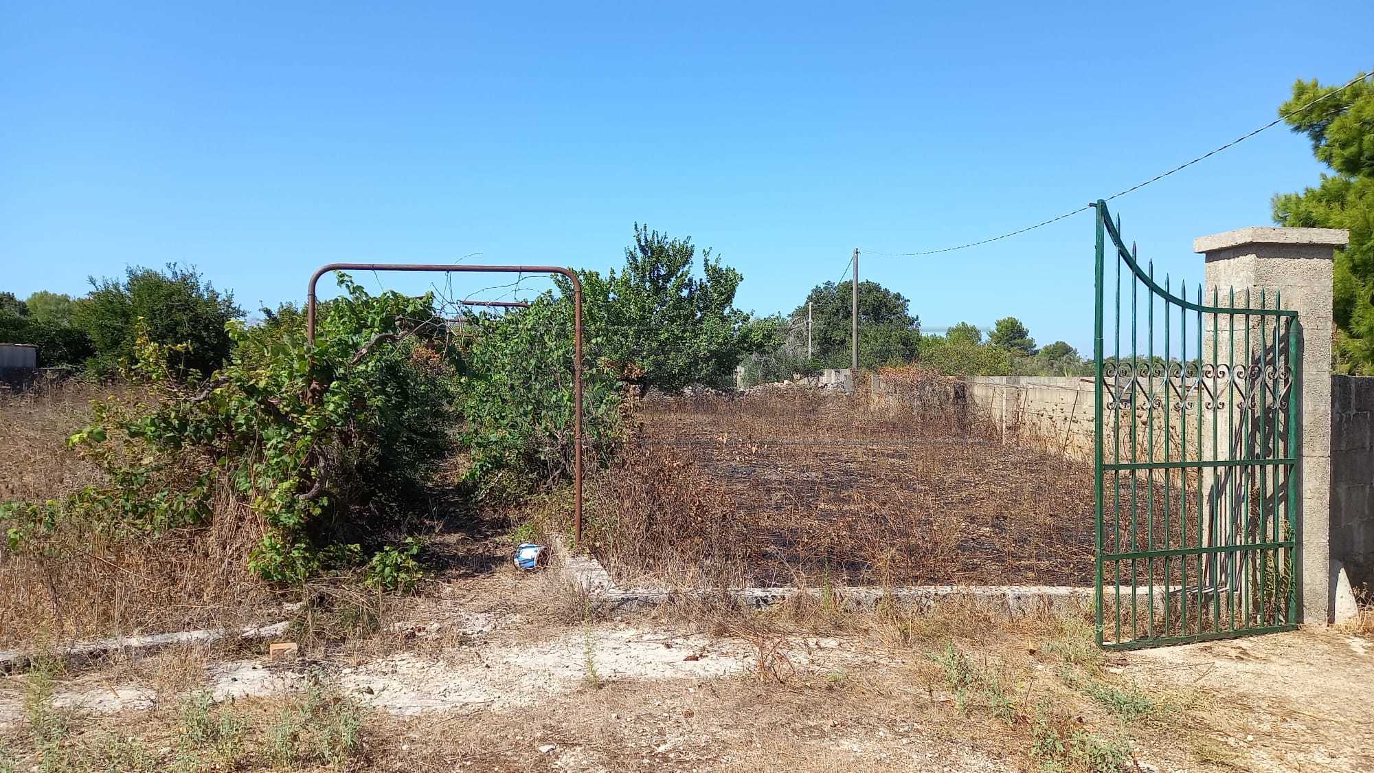 Immagine 7 di Terreno agricolo in vendita  a Maglie