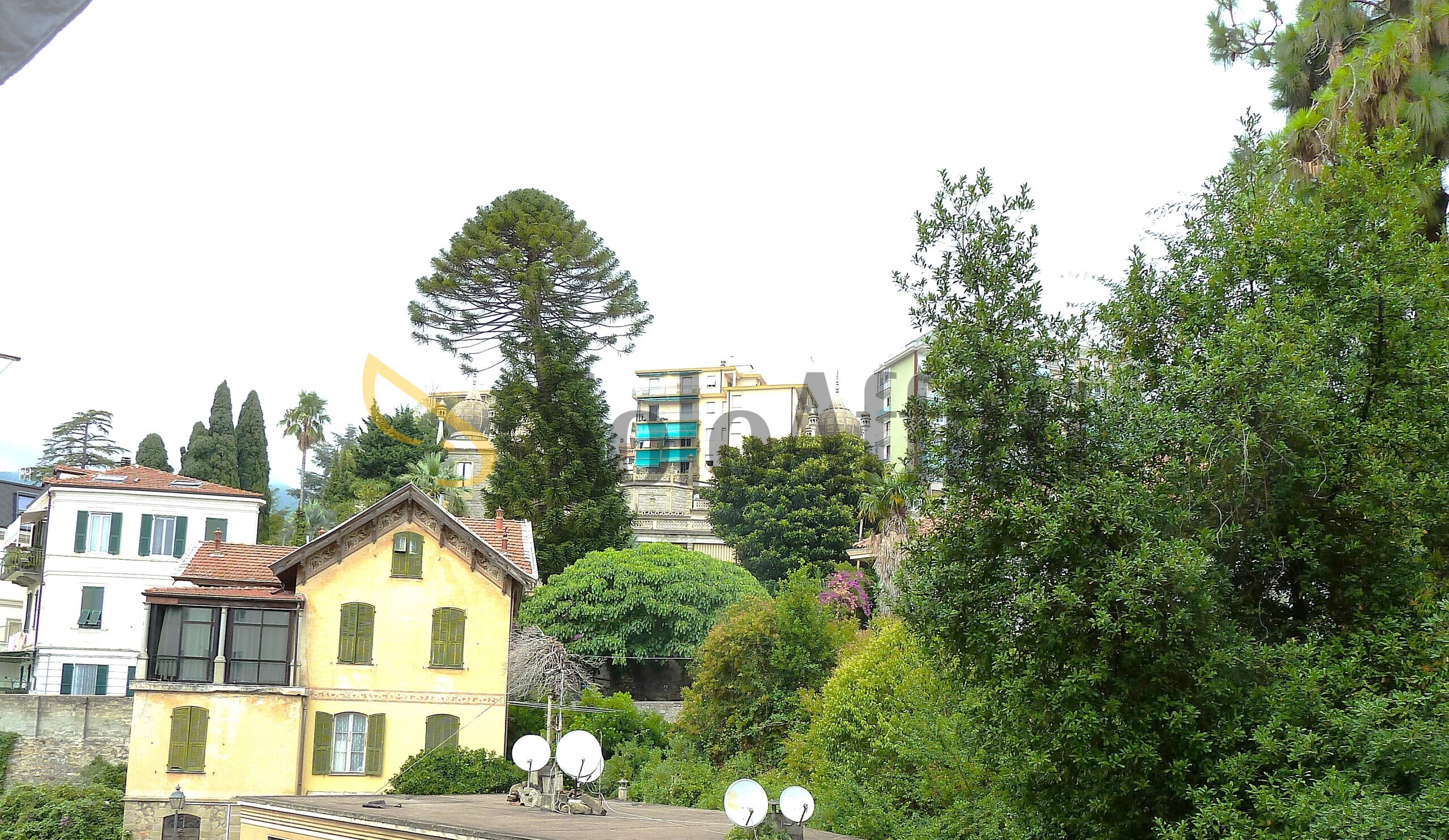 Foto annuncio 7