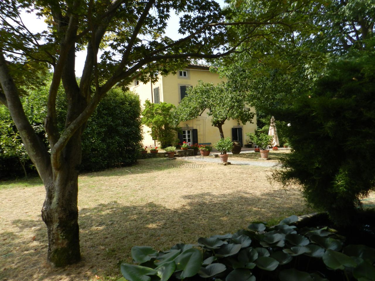 Foto annuncio 5