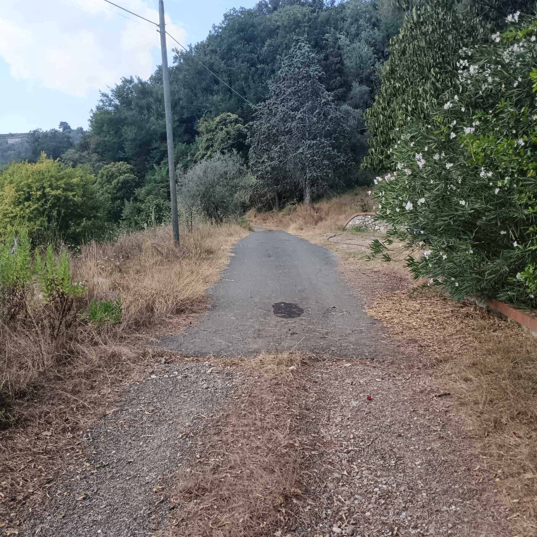 Immagine 3 di Rustico / casale in vendita  a Castelnuovo Magra