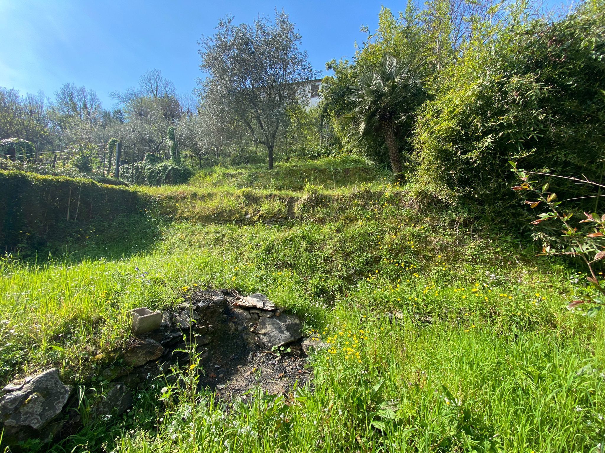 Immagine 9 di Porzione di casa in vendita  a Ameglia