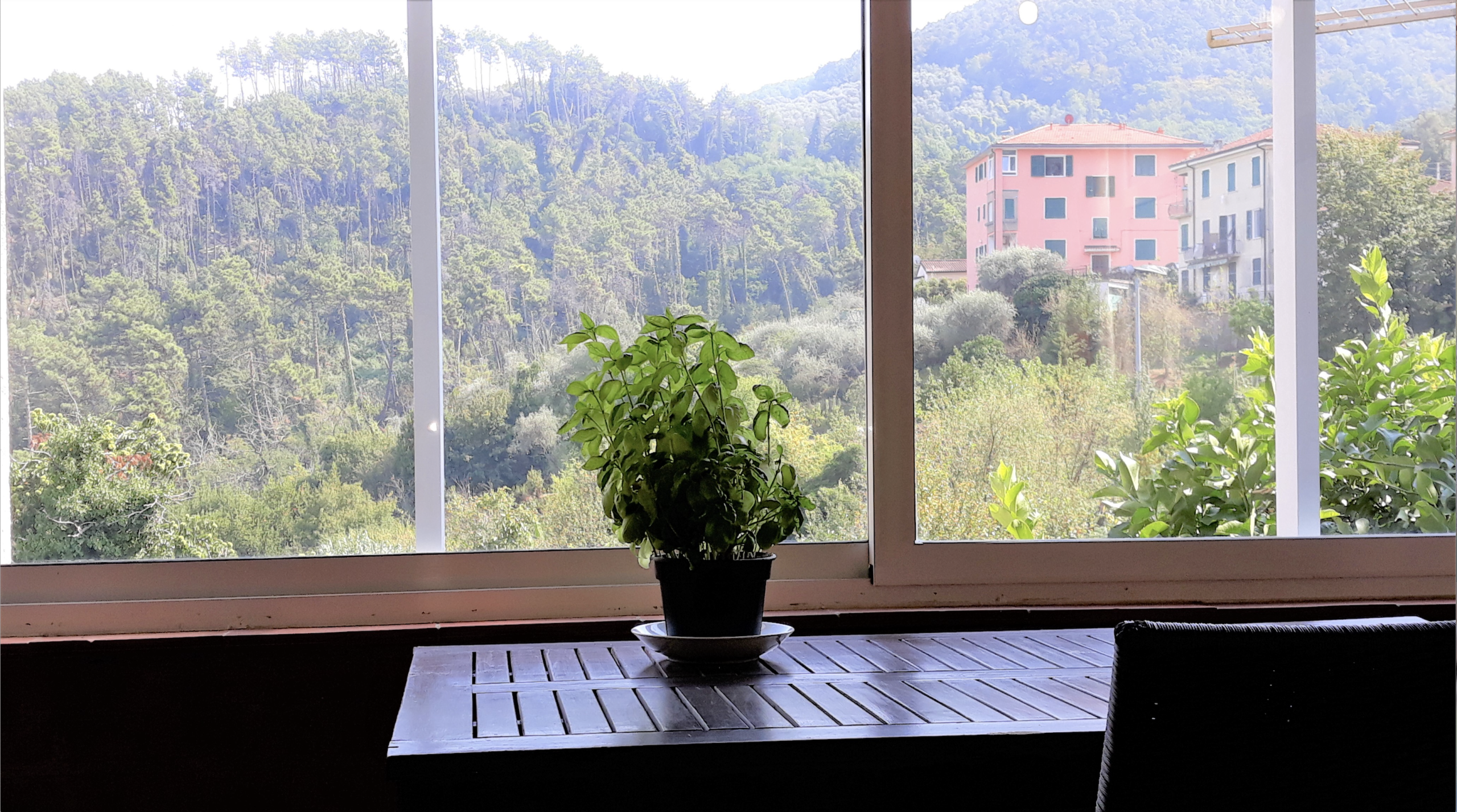 Immagine 3 di Casa indipendente in vendita  a Ameglia